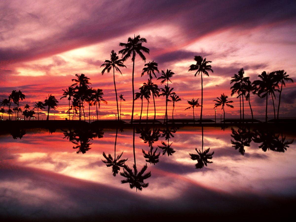 1200x900 Laptop Hawaii, Nature, Sunset background. Download TOP Free photo