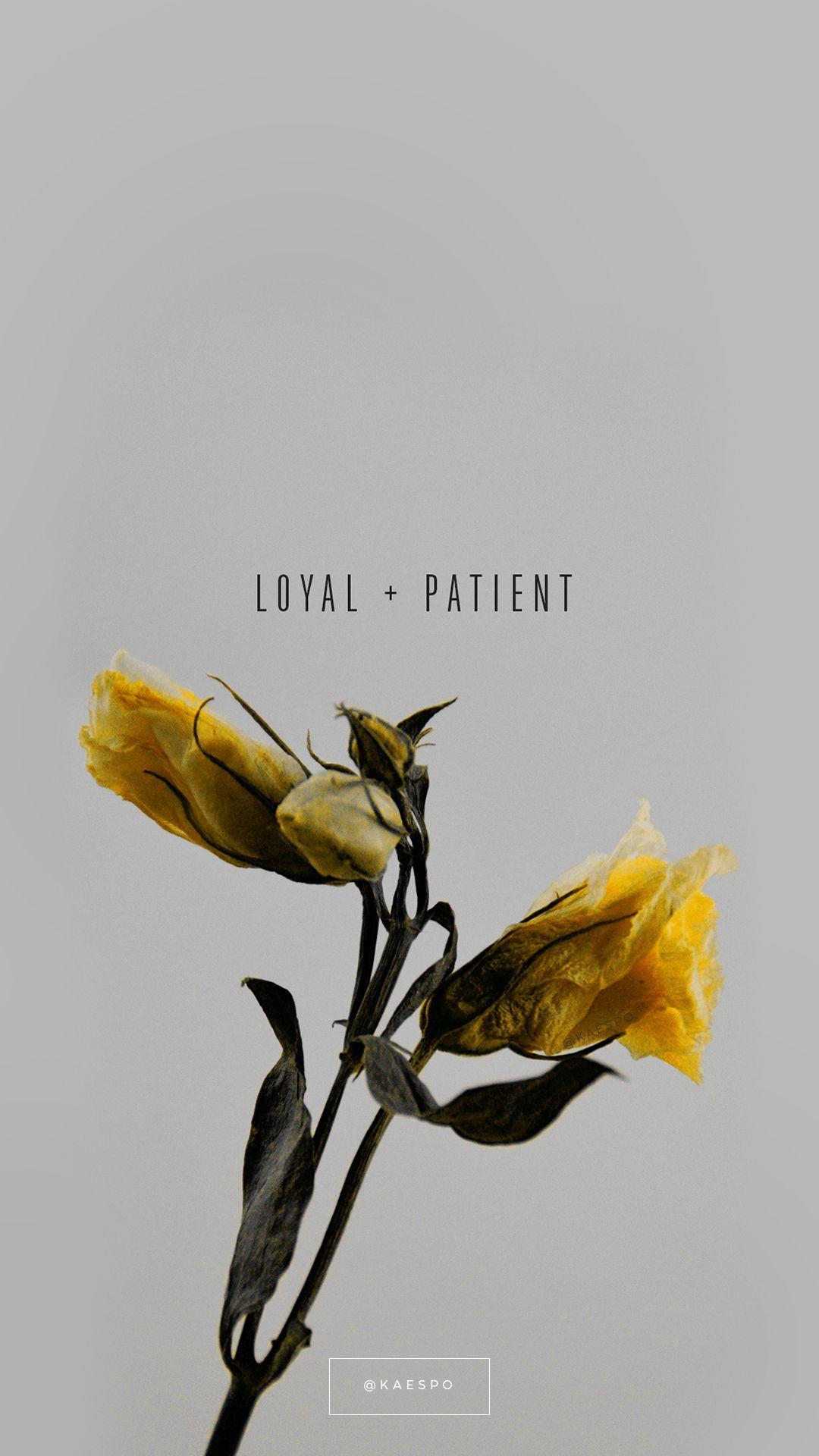 1080x1920 Trích dẫn về lòng trung thành và bệnh nhân trên nền hoa màu vàng