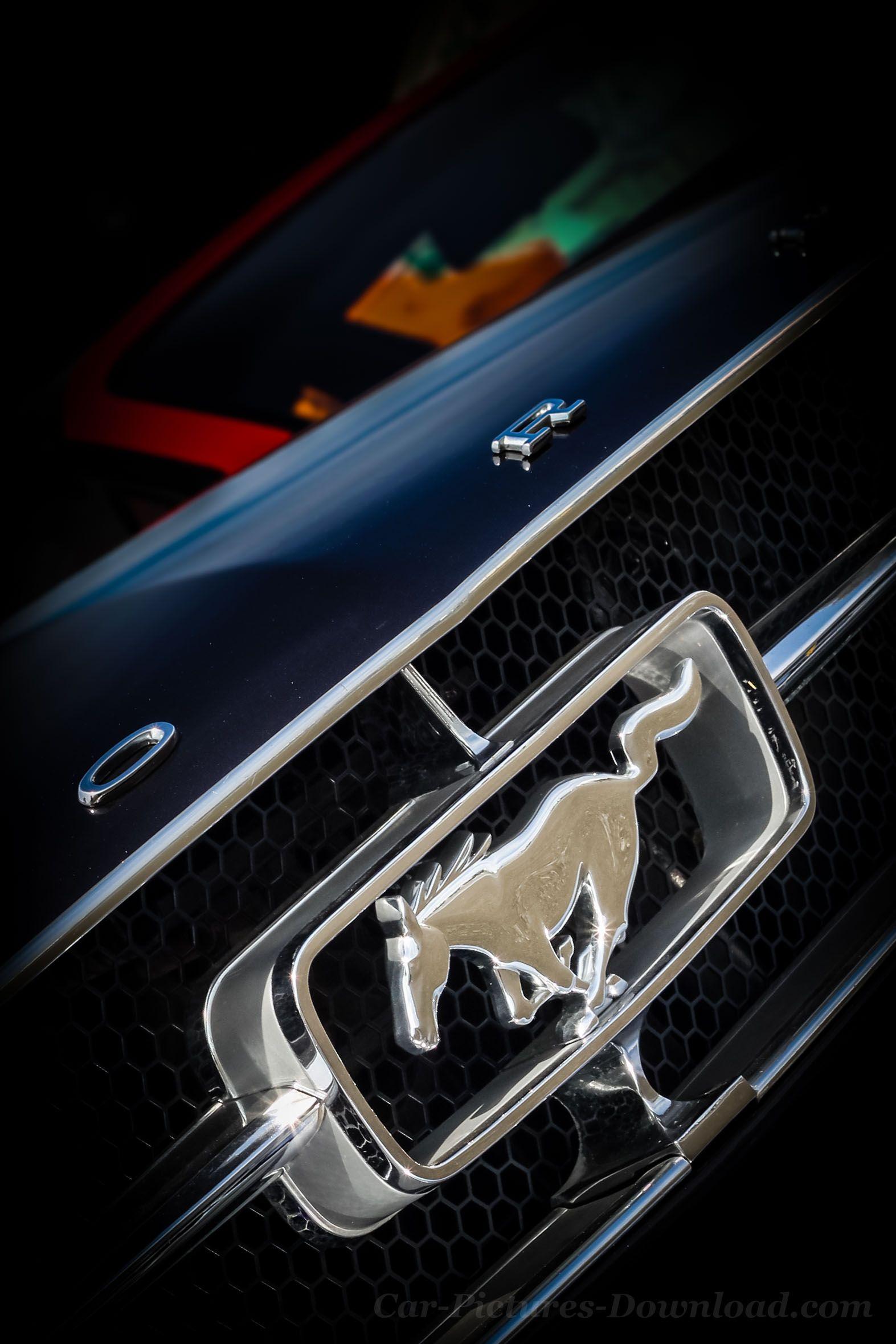 1573x2359 Ford Mustang Logo Wallpaper