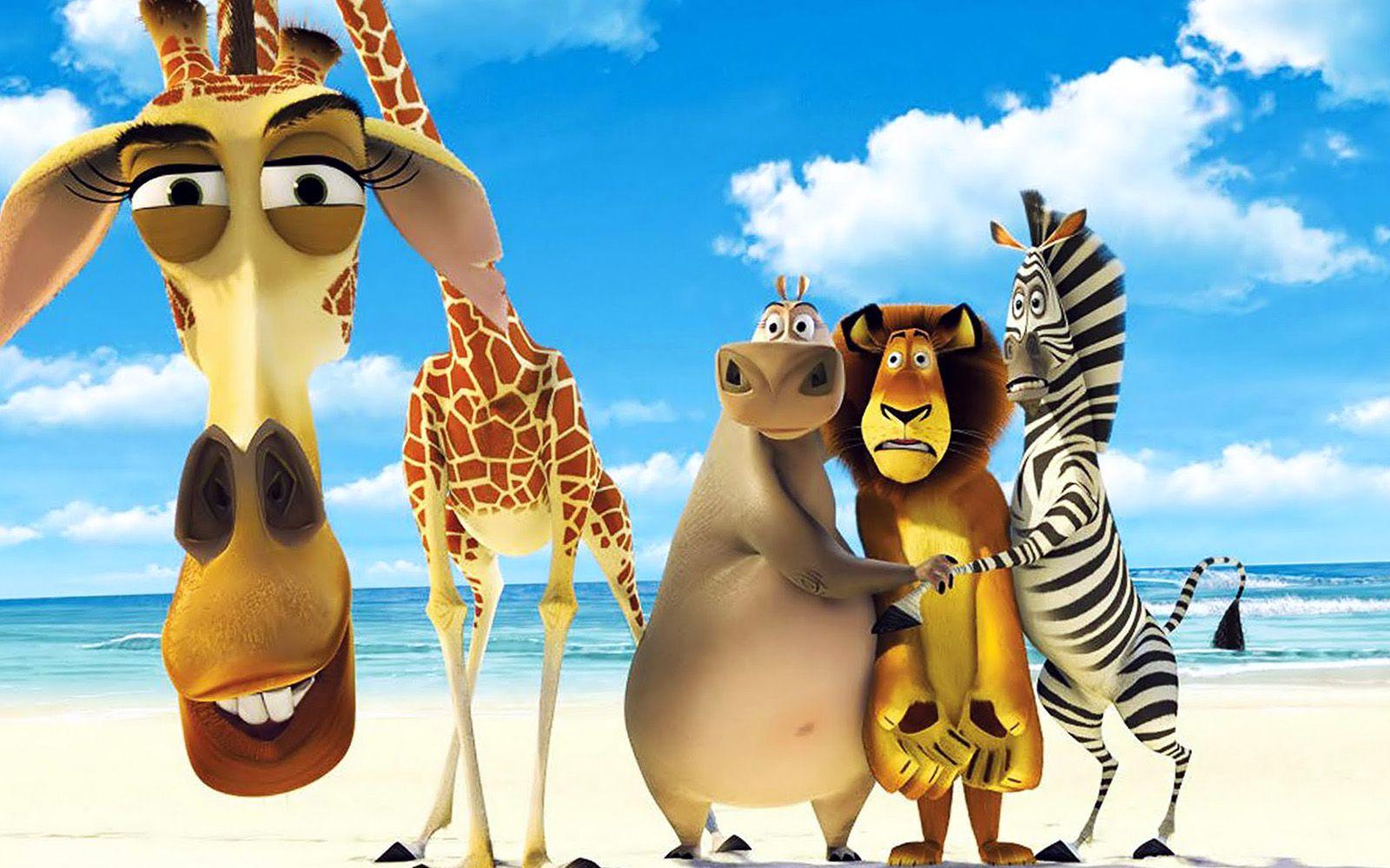 1600x1000 Funny Animal Cartoon Wallpaper HD / Desktop and Mobile Background