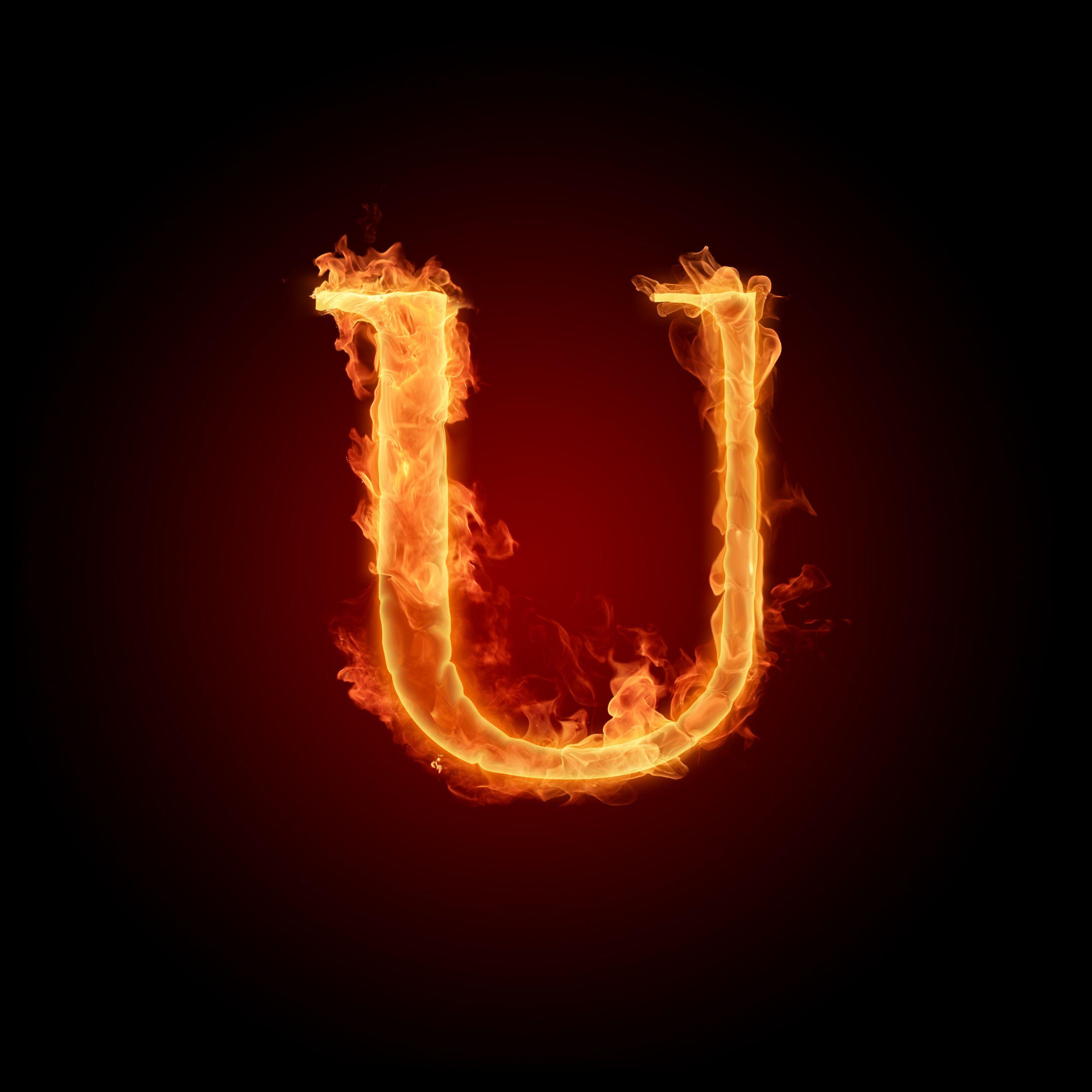2560x2560 The Alphabet Photo: The letter U