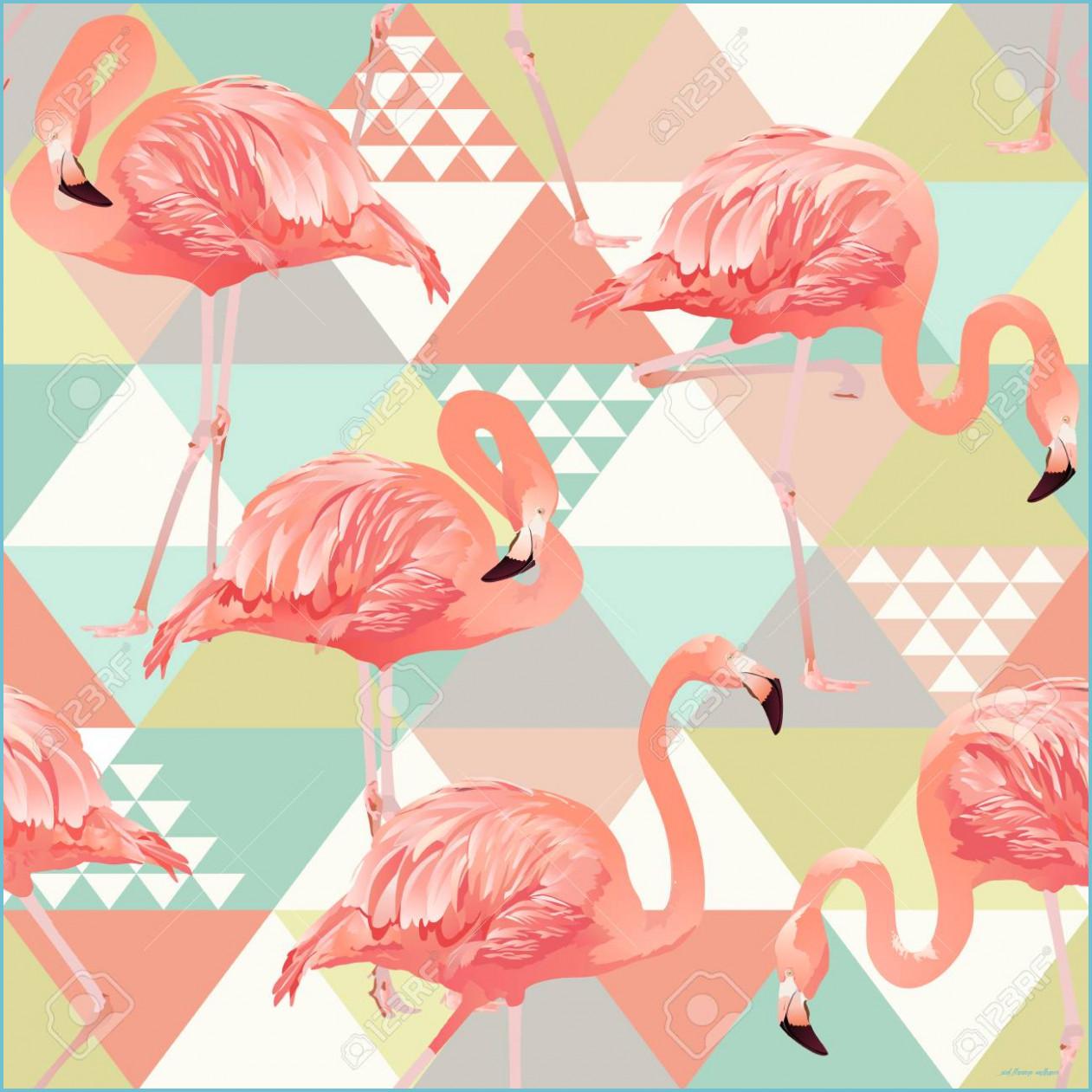 1261x1261 Ways Pink Flamingo Wallpaper Can Improve Your Business