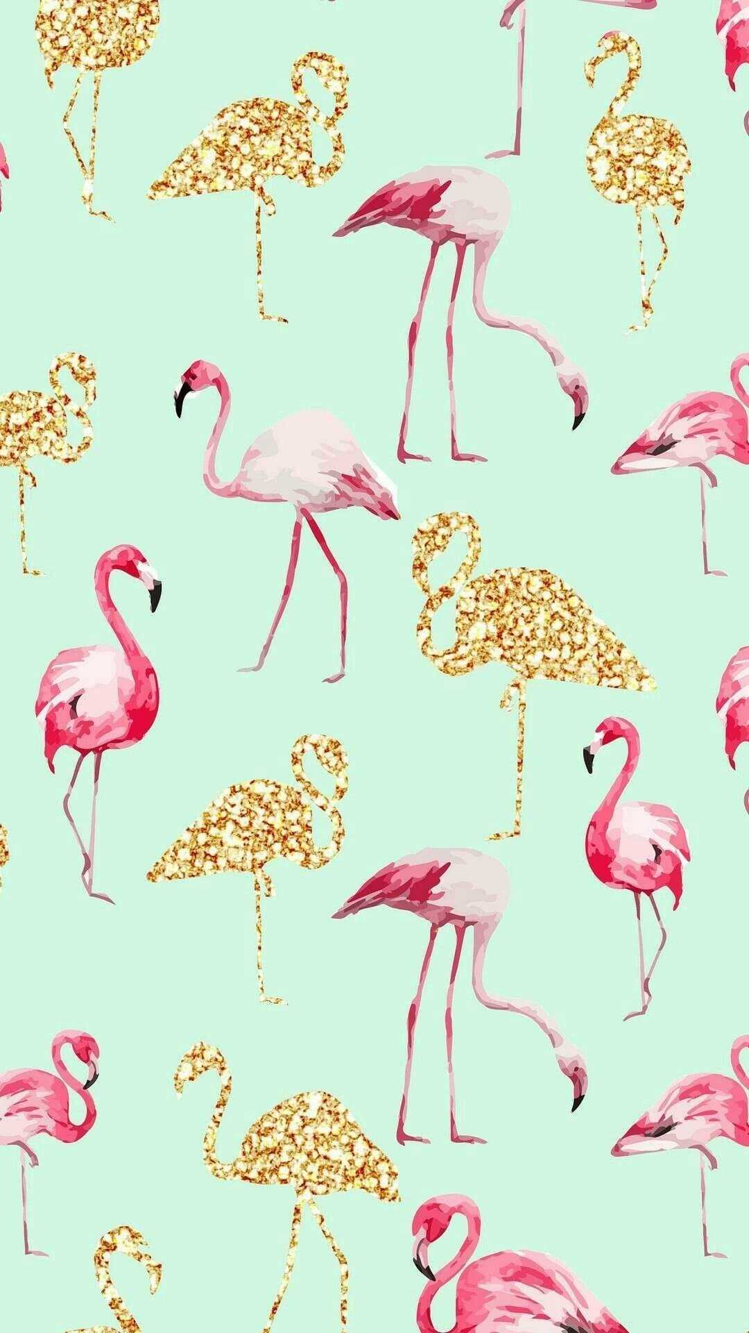 1080x1920 Flamingo Wallpaper