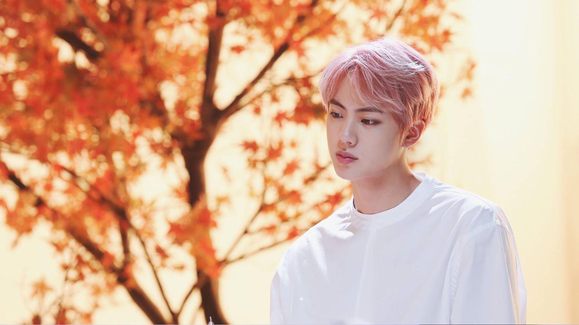 BTS Jin Wallpapers - Top Free BTS Jin Backgrounds - WallpaperAccess