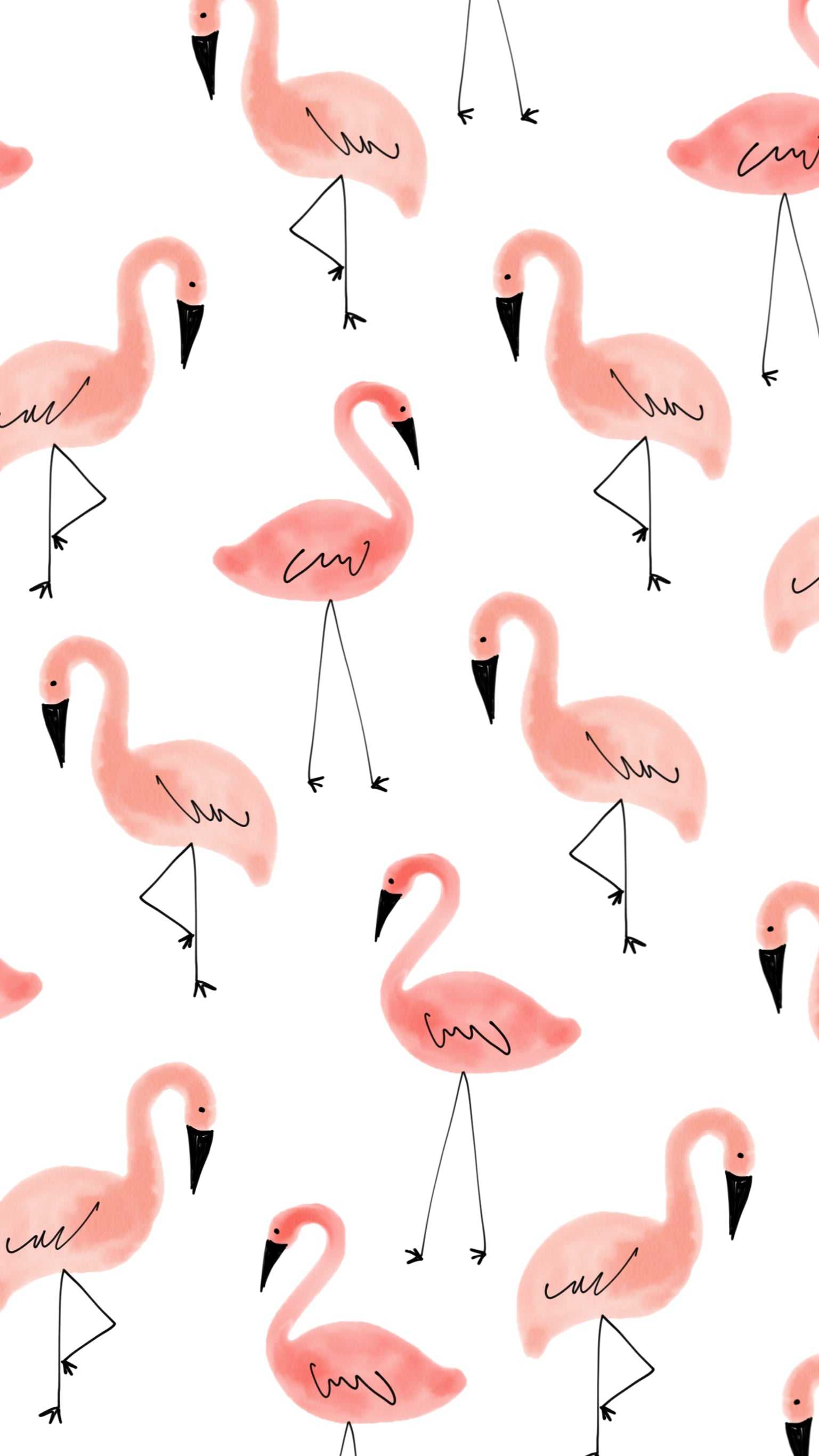 1537x2732 Flamingo Wallpaper