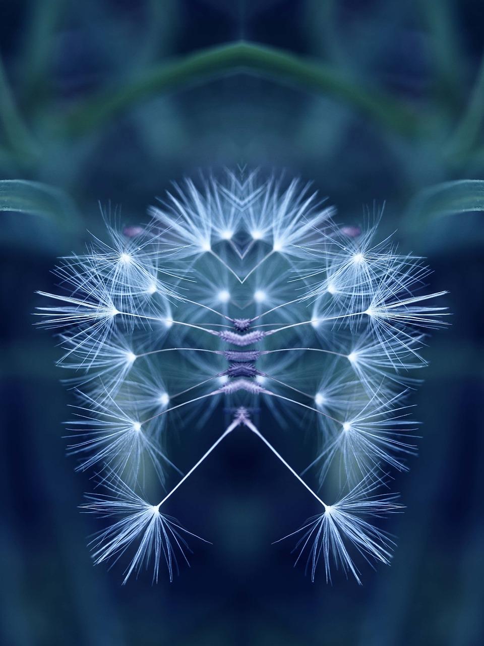 Mirror Effect Wallpapers Top Free Mirror Effect Backgrounds