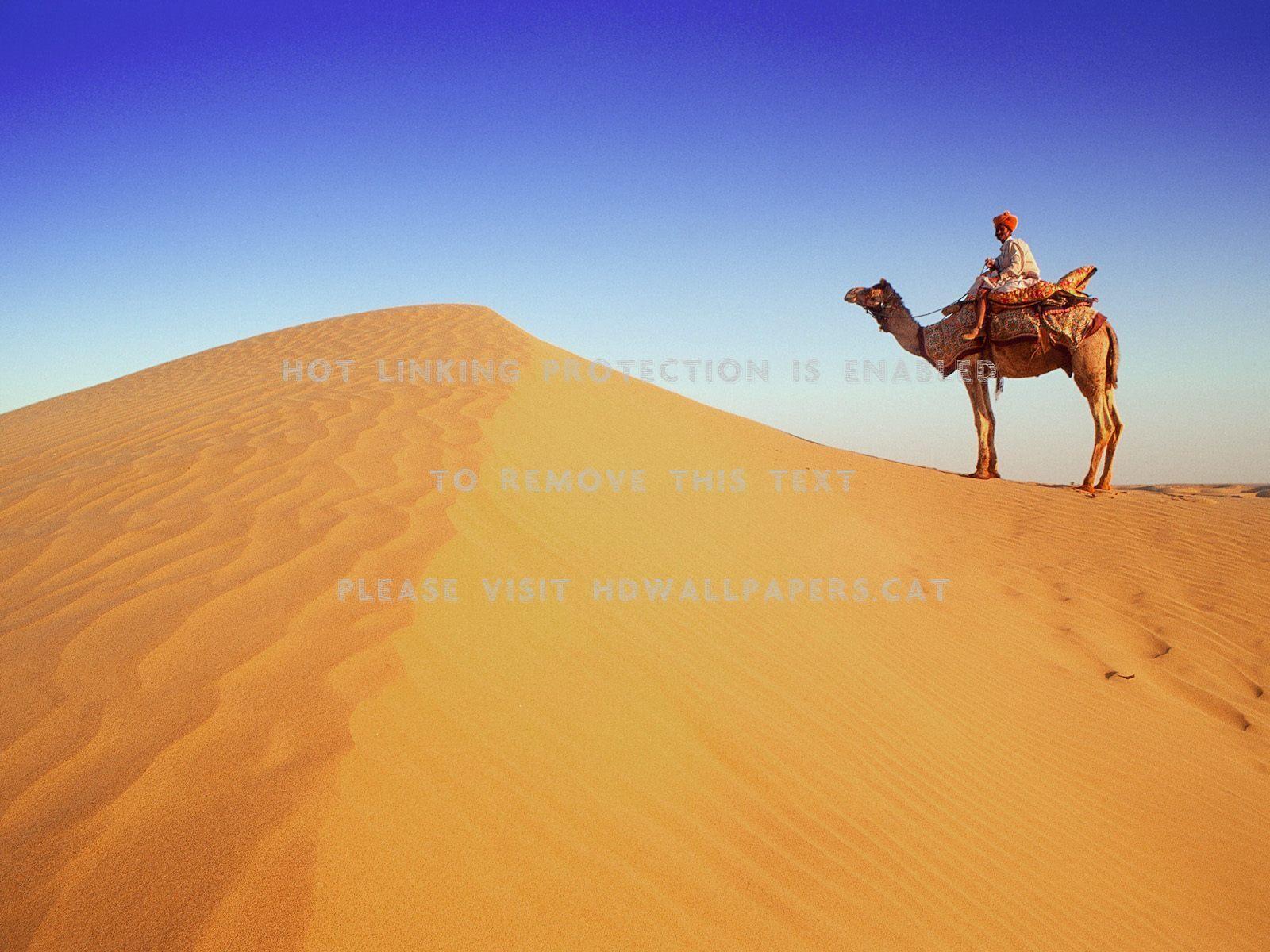 1600x1200 desktop rajasthan india sand desert camel