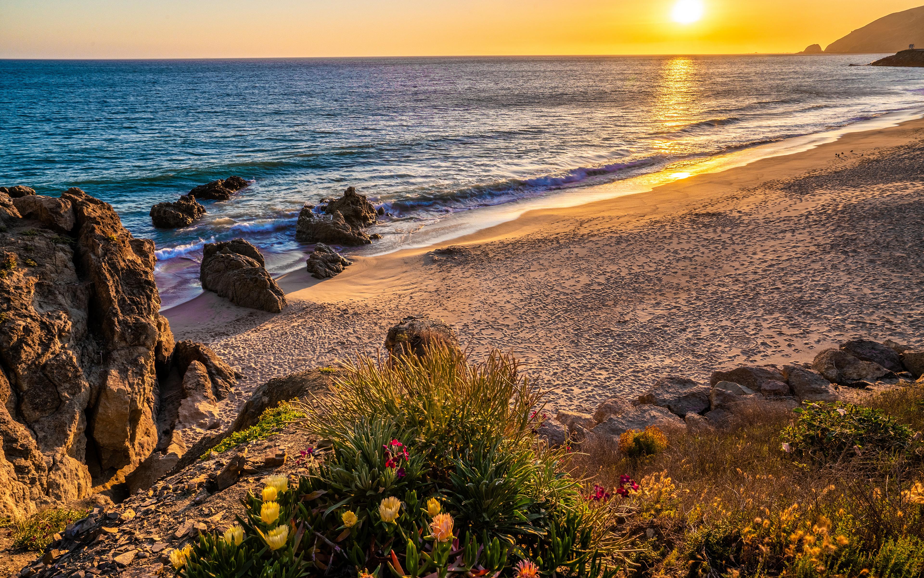 3840x2400 Image California USA Malibu Beach Footprints Nature 3840x2400