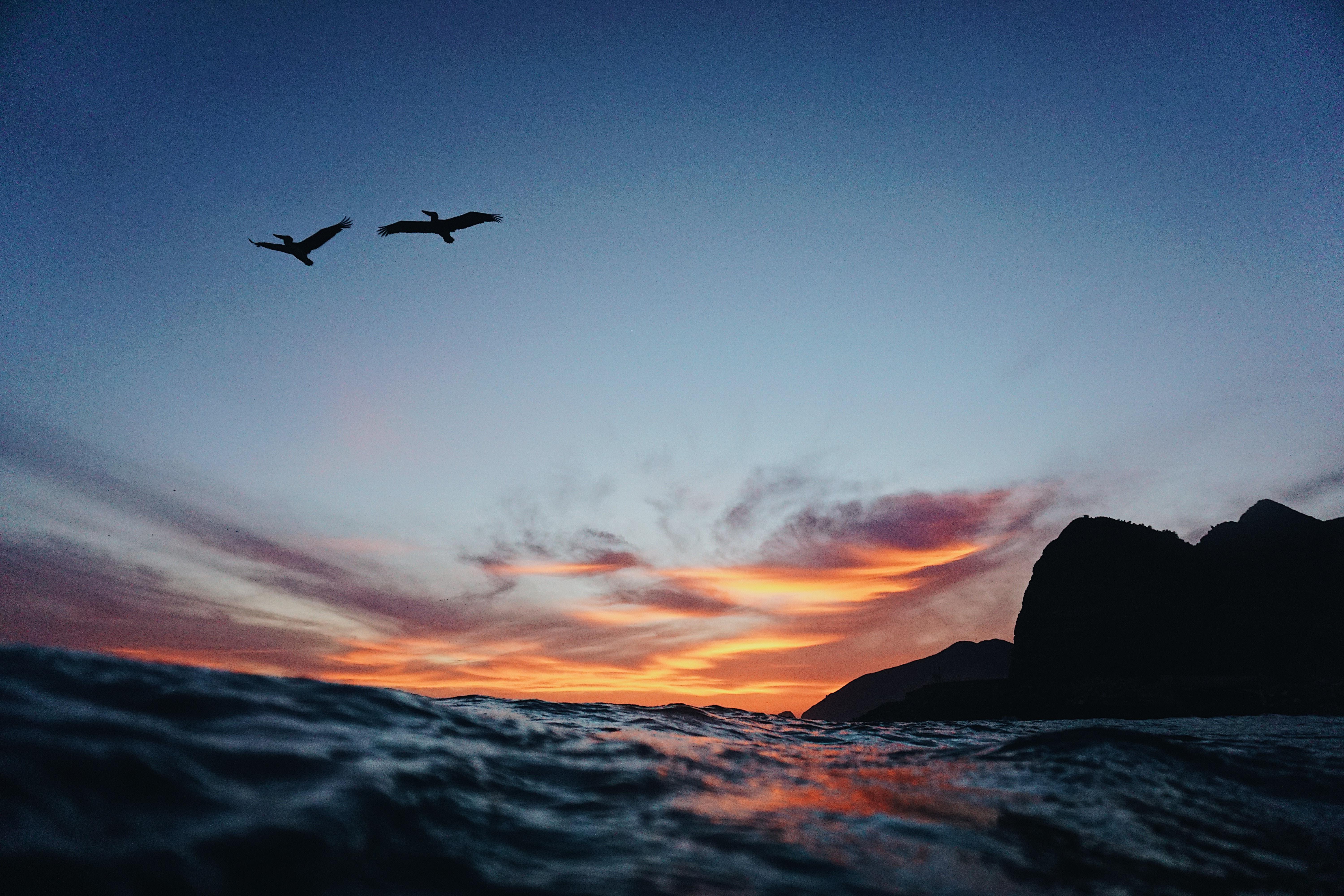 6000x4000 malibu HD wallpaper, Background