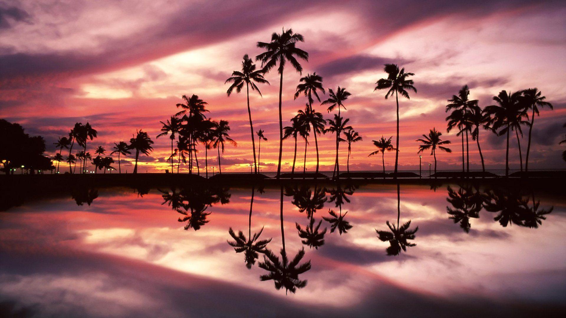 1920x1080 Hawaii Wallpaper. Beach sunset wallpaper, Sunset wallpaper, Palm tree sunset