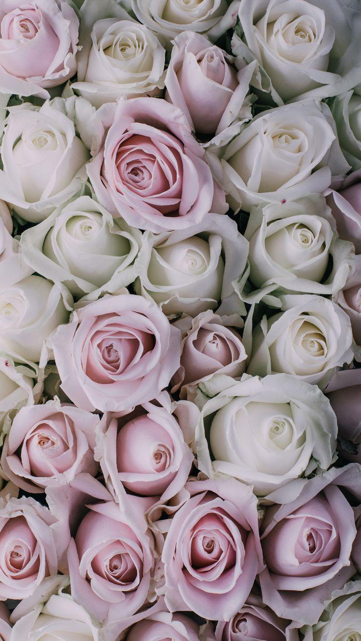 736x1308 Antique Girly Wallpaper