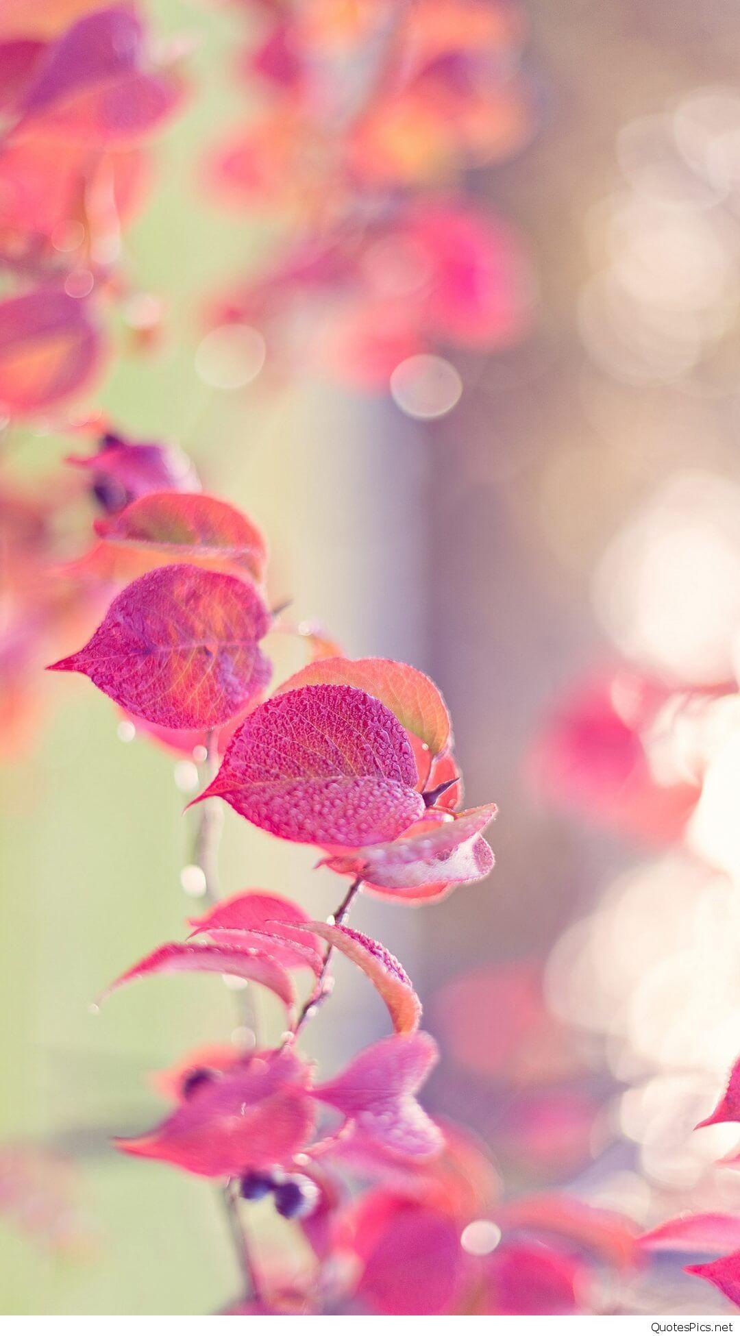 1080x1950 iphone summer vintage girly wallpaper