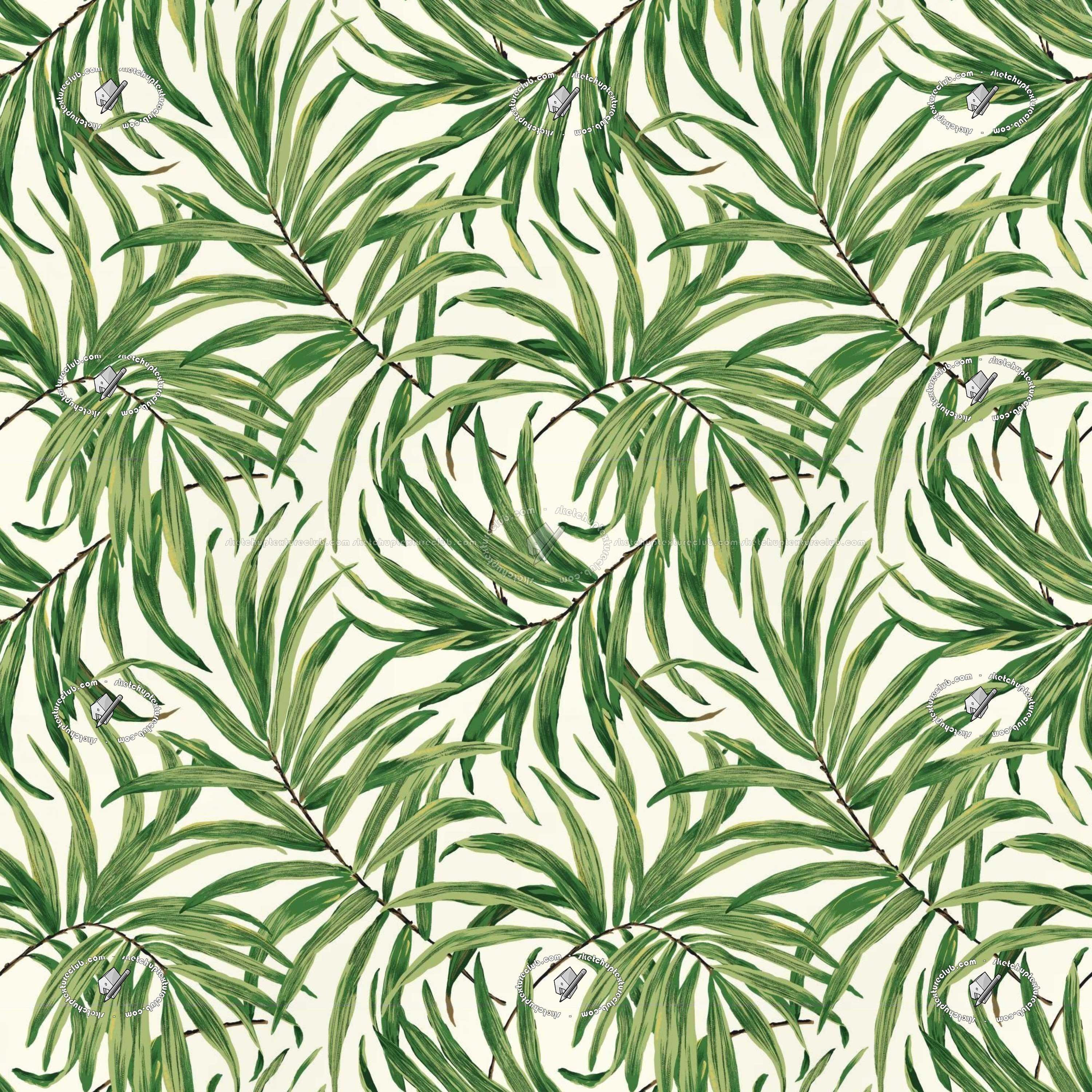 3000x3000 Textures And White Leaf