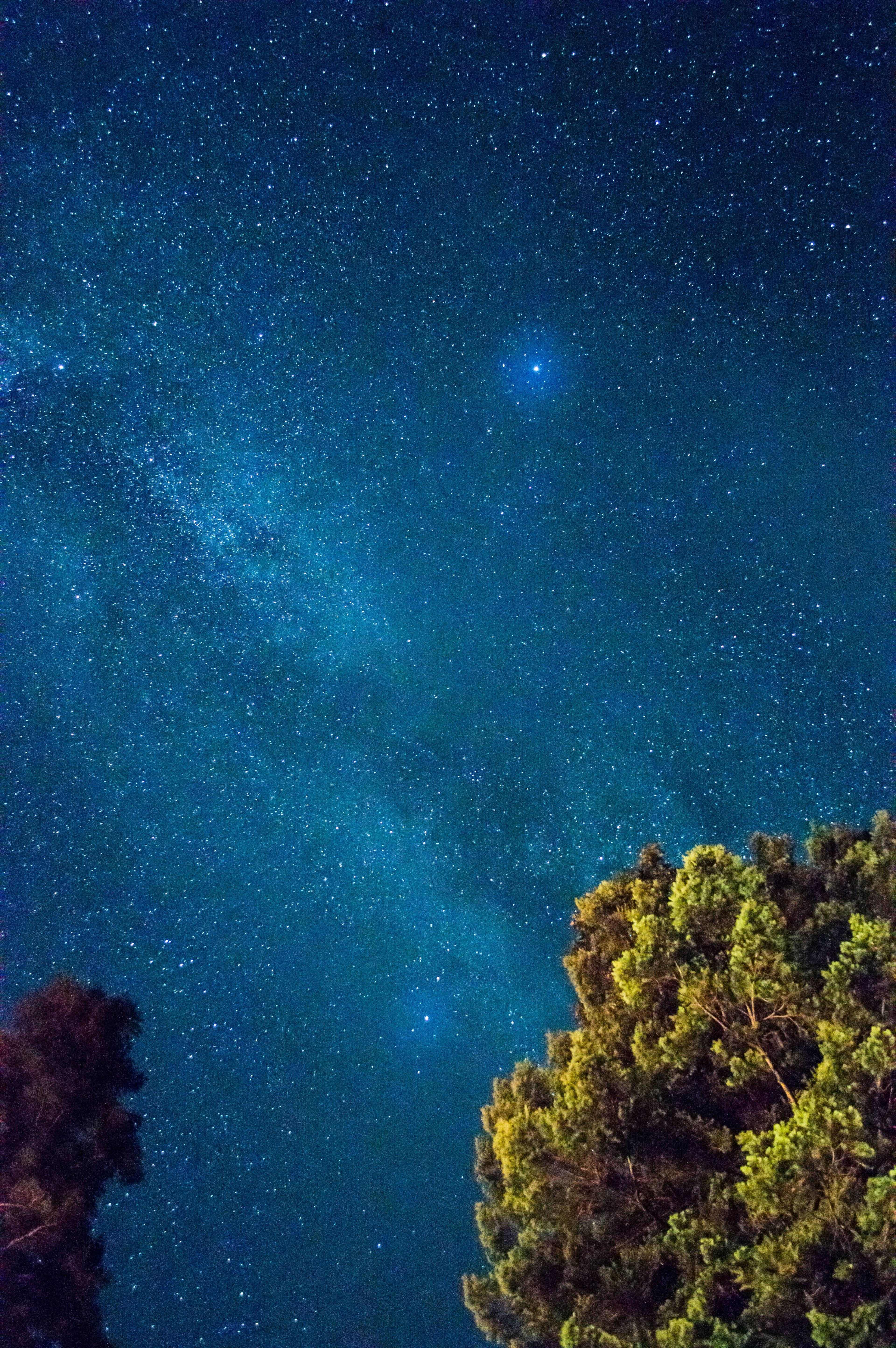 3840x5775 Wallpaper / star sky night sky and night HD 4k wallpaper