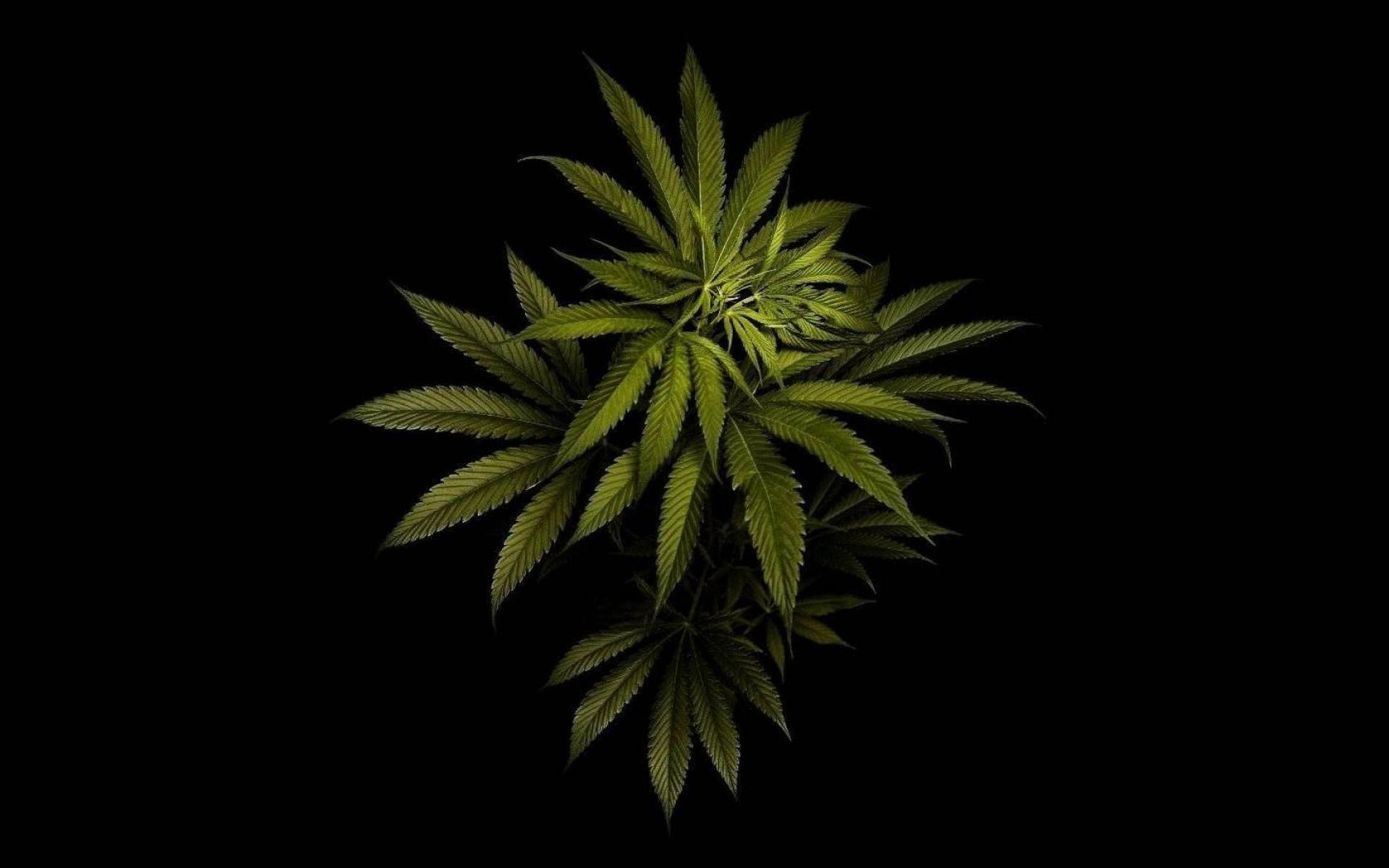 Weed Wallpaper 4k For Mobile