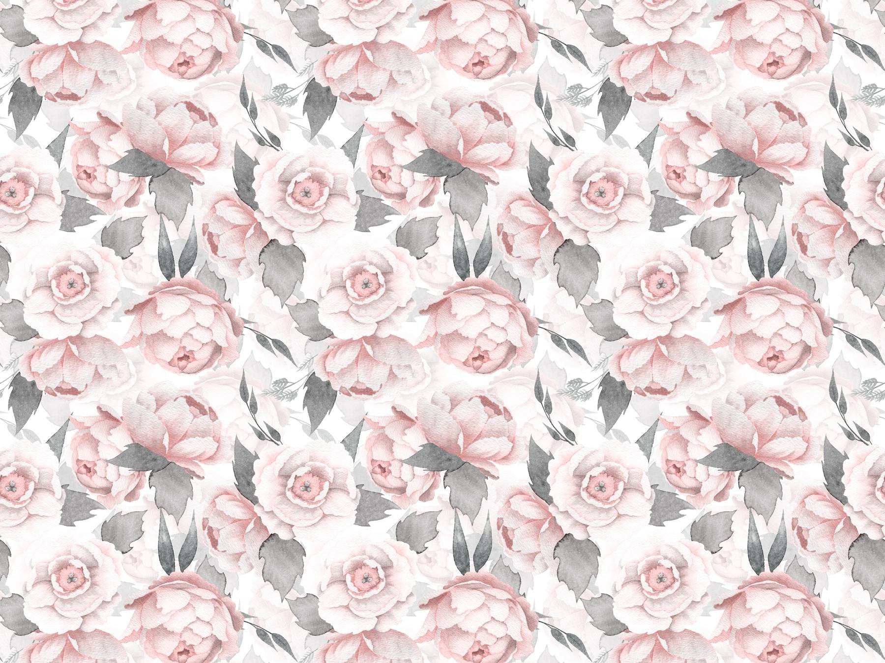 Blush Floral Wallpapers - Top Free Blush Floral Backgrounds