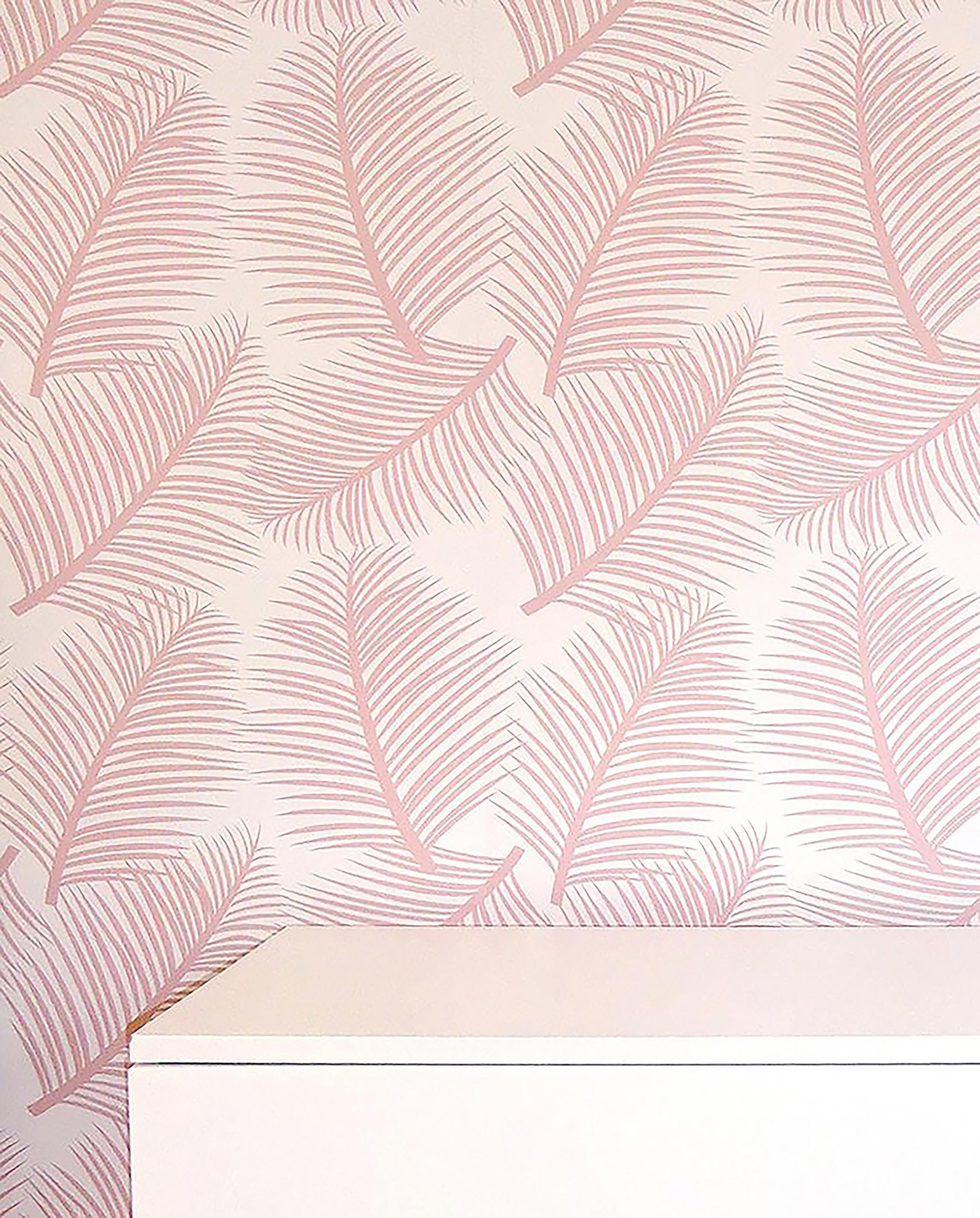 Blush Pink Desktop Wallpapers Top Free Blush Pink Desktop Backgrounds WallpaperAccess