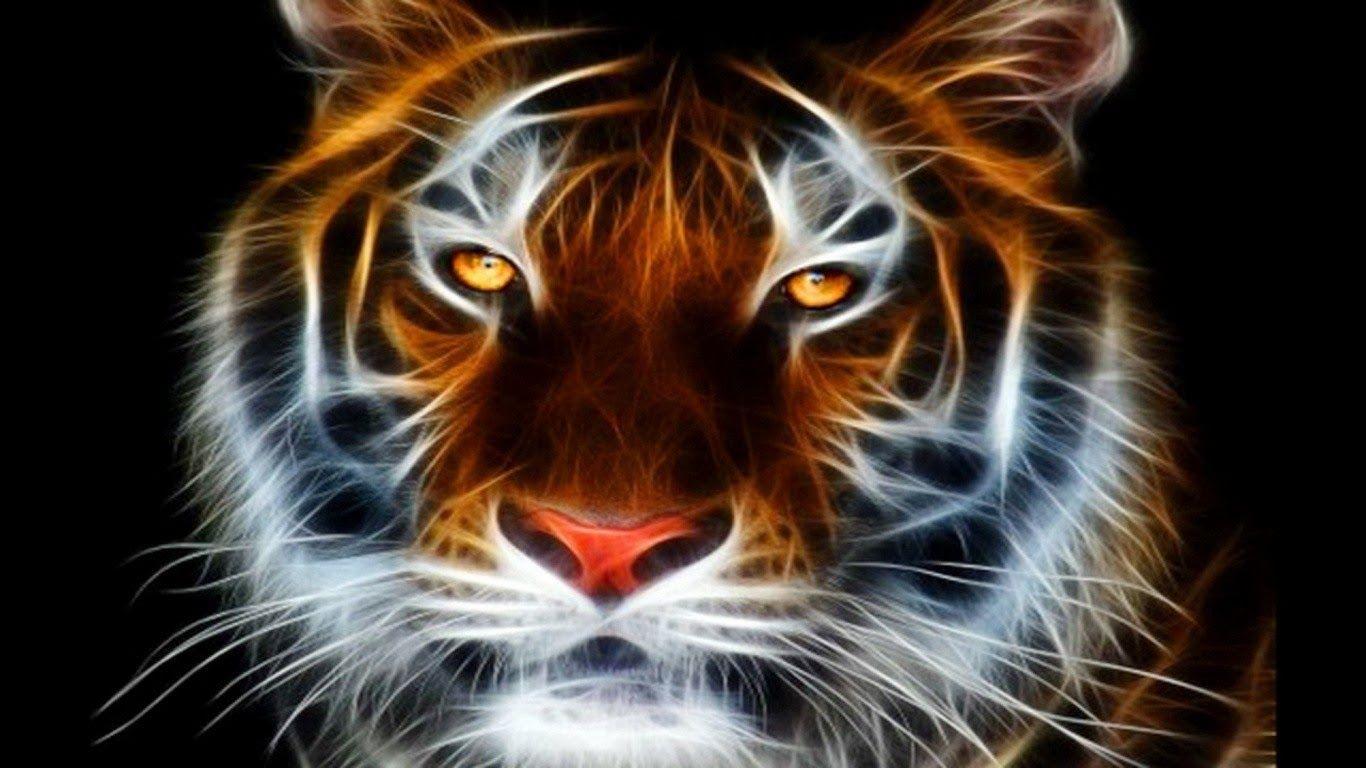 Abstract Tiger Hd Wallpapers Top Free Abstract Tiger Hd Backgrounds Wallpaperaccess