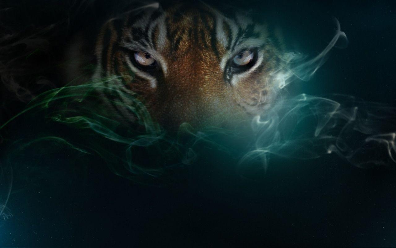 Abstract Tiger Wallpapers - Top Free Abstract Tiger Backgrounds - WallpaperAccess