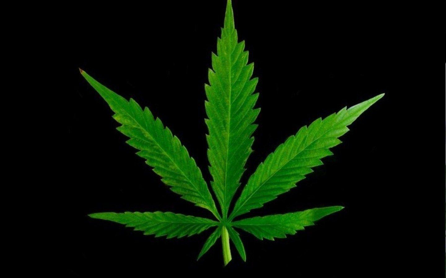 1440x900 Marijuana HD Wallpaper