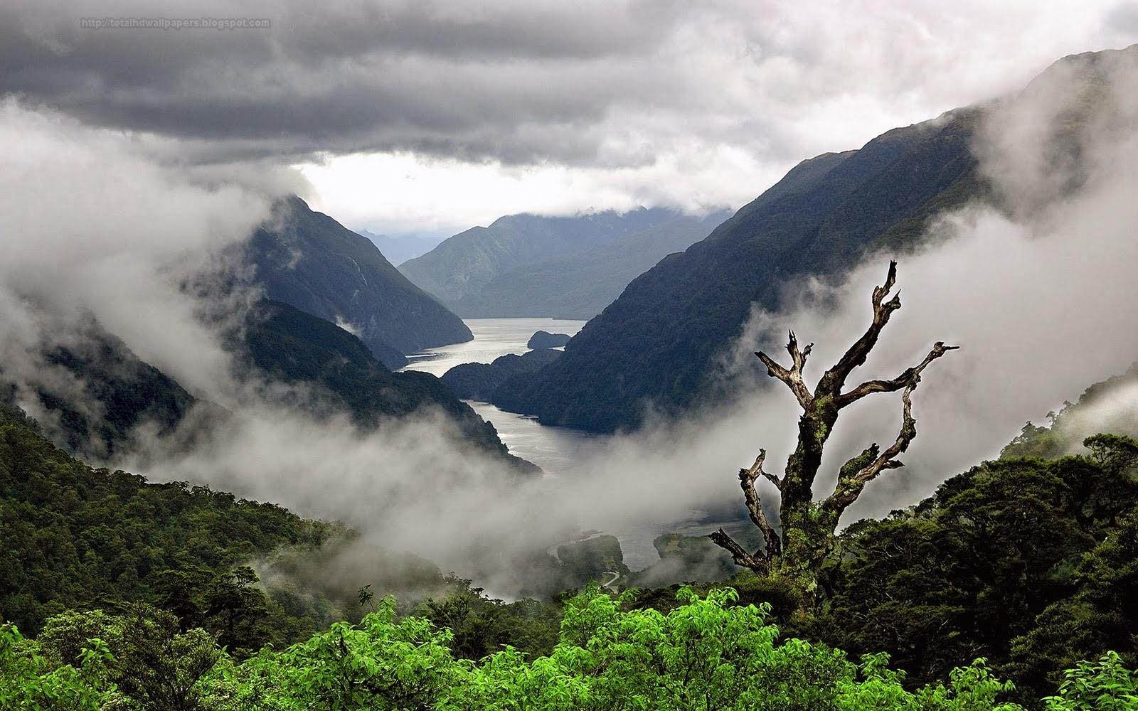 1600x1000 Cloudy Foggy Mountains Green Nature Desktop Background Pics