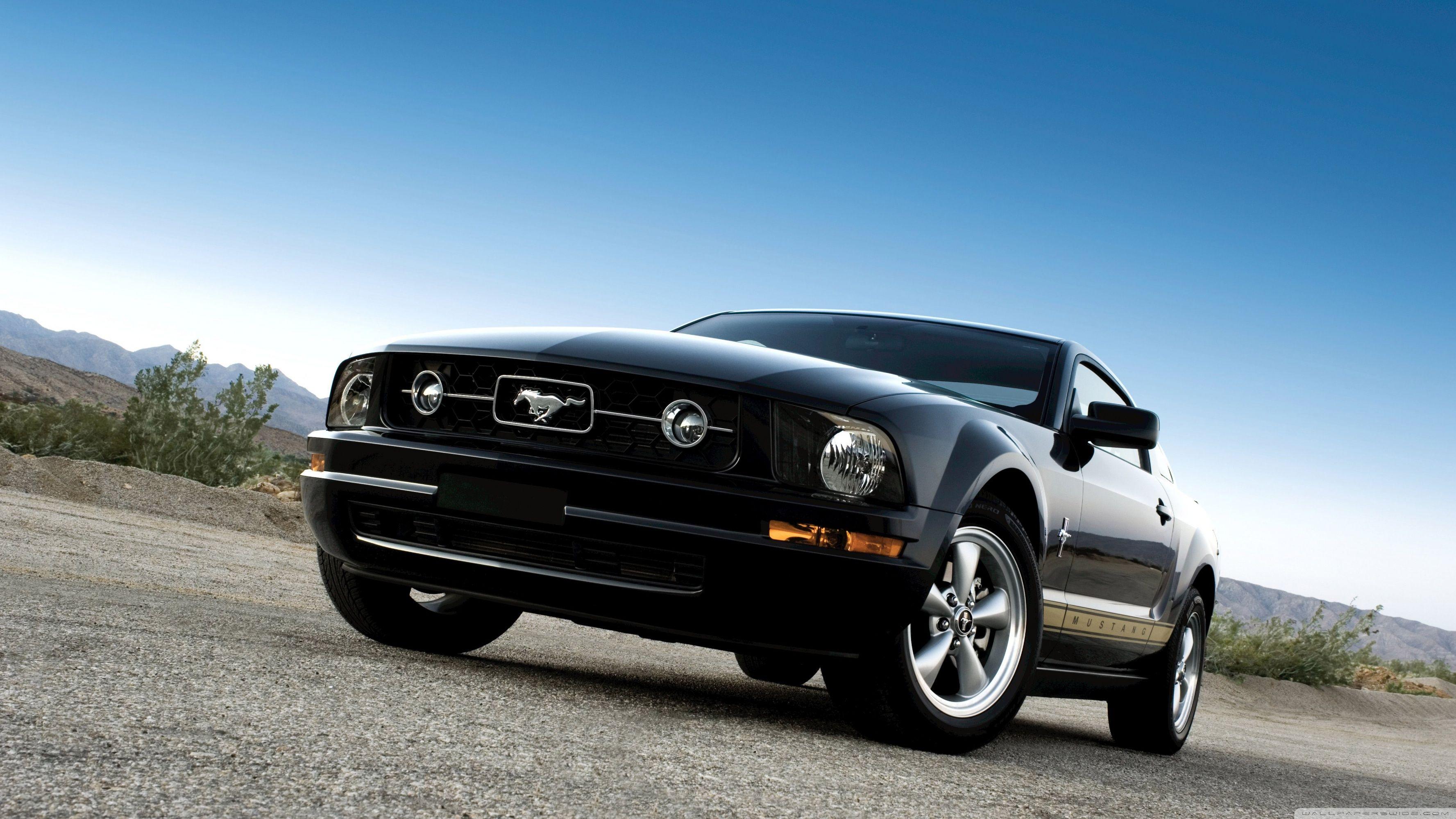 3554x1999 Ford Mustang Black ❤ 4K HD Desktop Wallpaper for 4K Ultra HD TV
