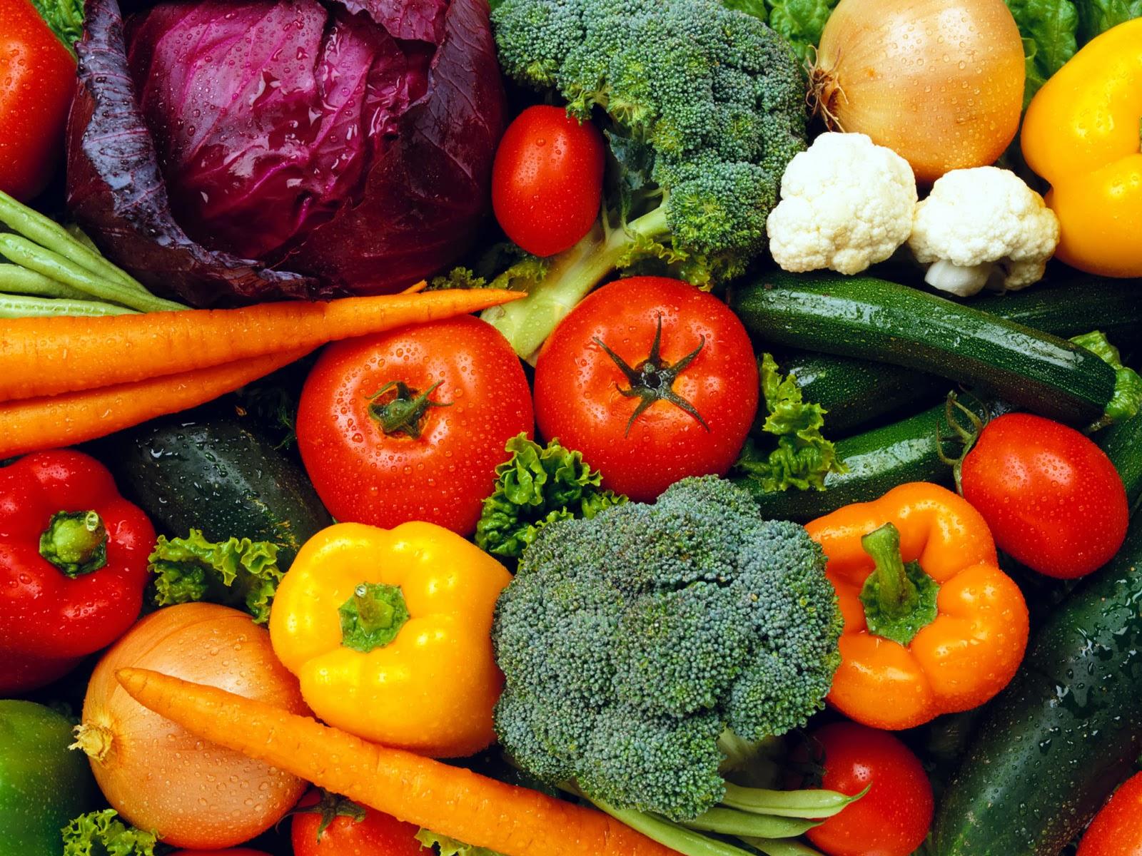 1600x1200 Vegetable Gardening Wallpaper