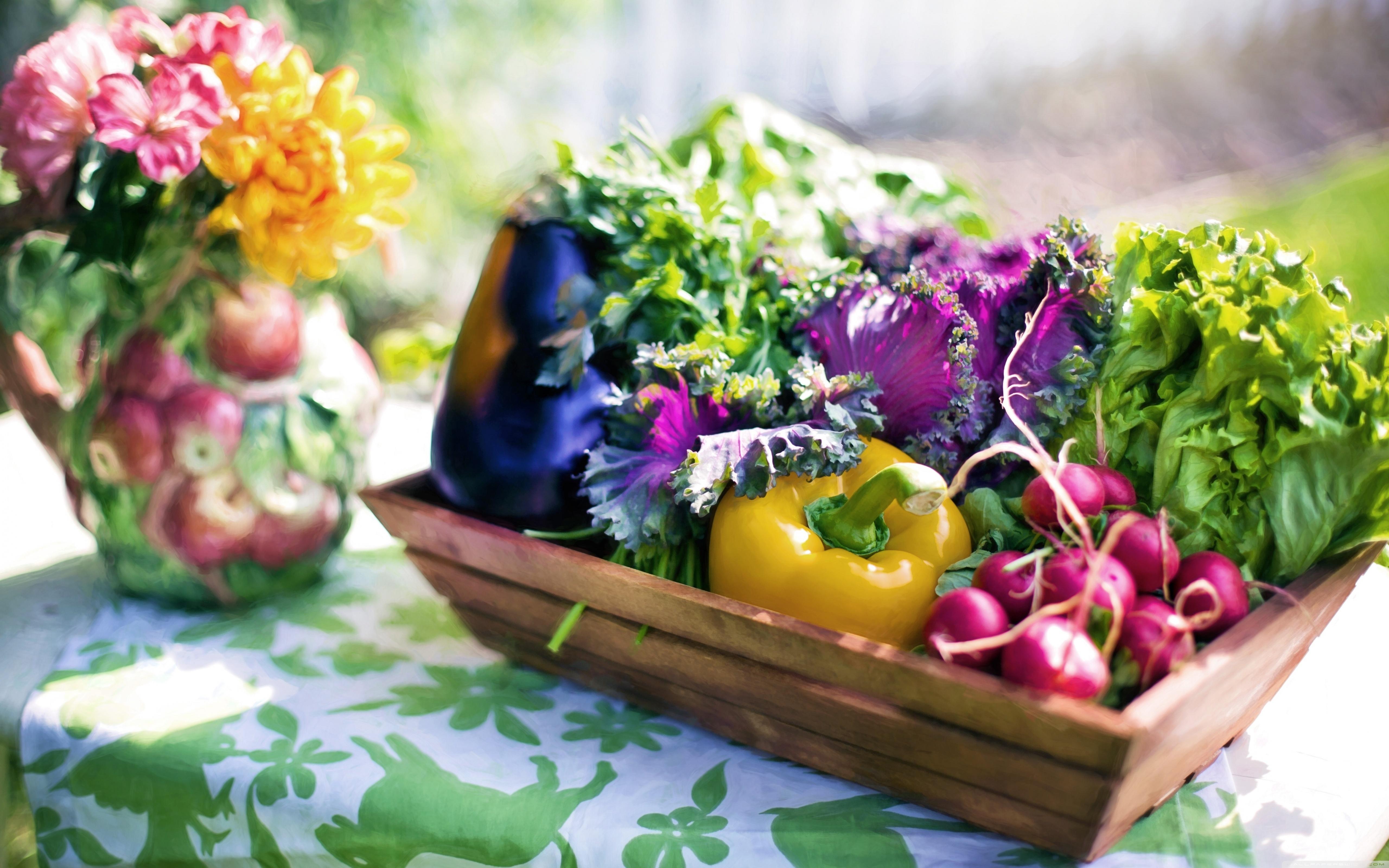 Vegetable Garden HD Wallpapers Top Free Vegetable Garden HD Vegetable Garden HD Wallpapers Top Free Vegetable Garden HD