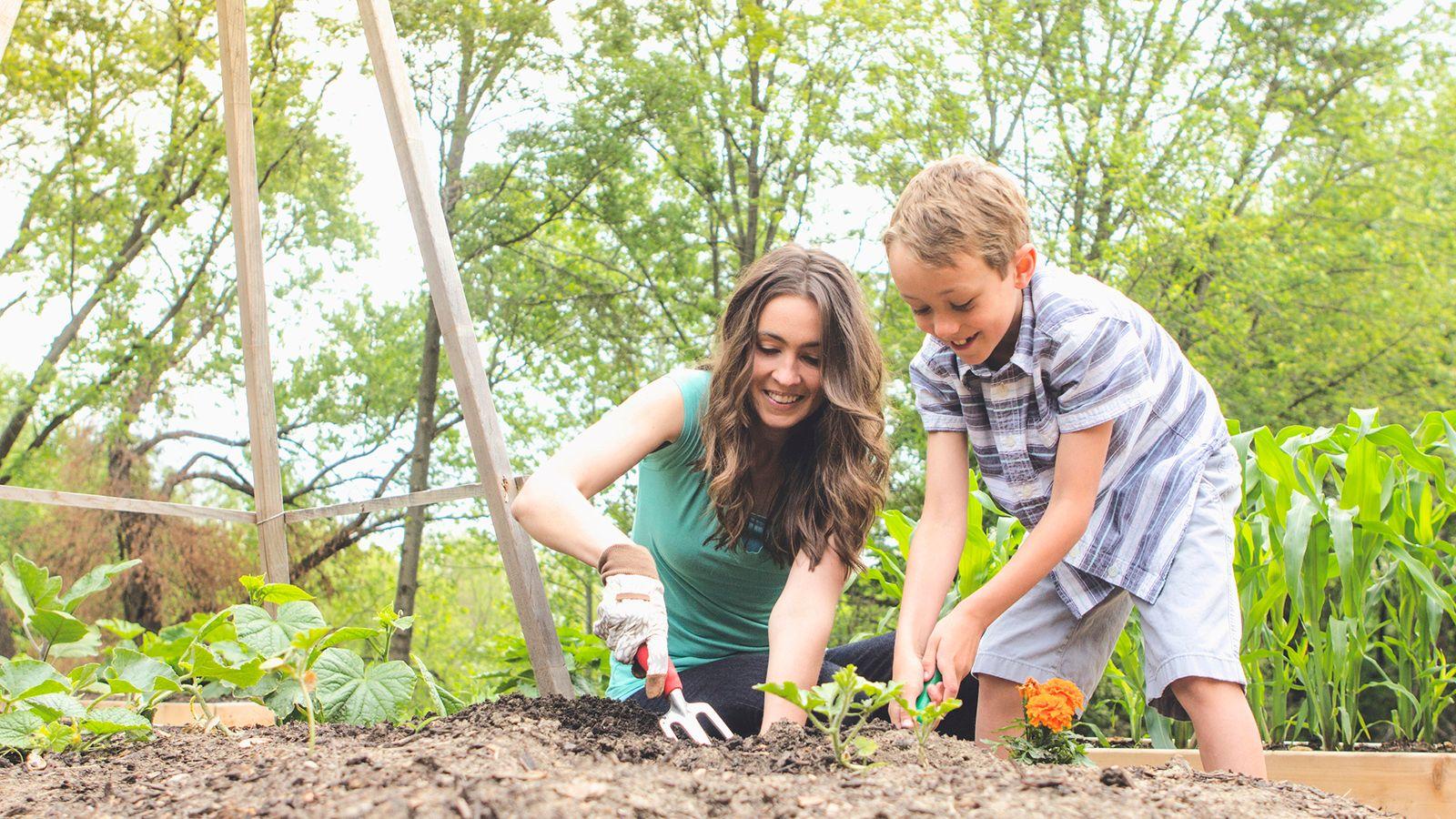 1600x900 Things to Know Before You Start a Vegetable Garden