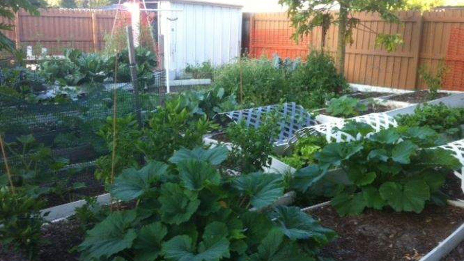 Vegetable Garden HD Wallpapers - Top Free Vegetable Garden HD ...