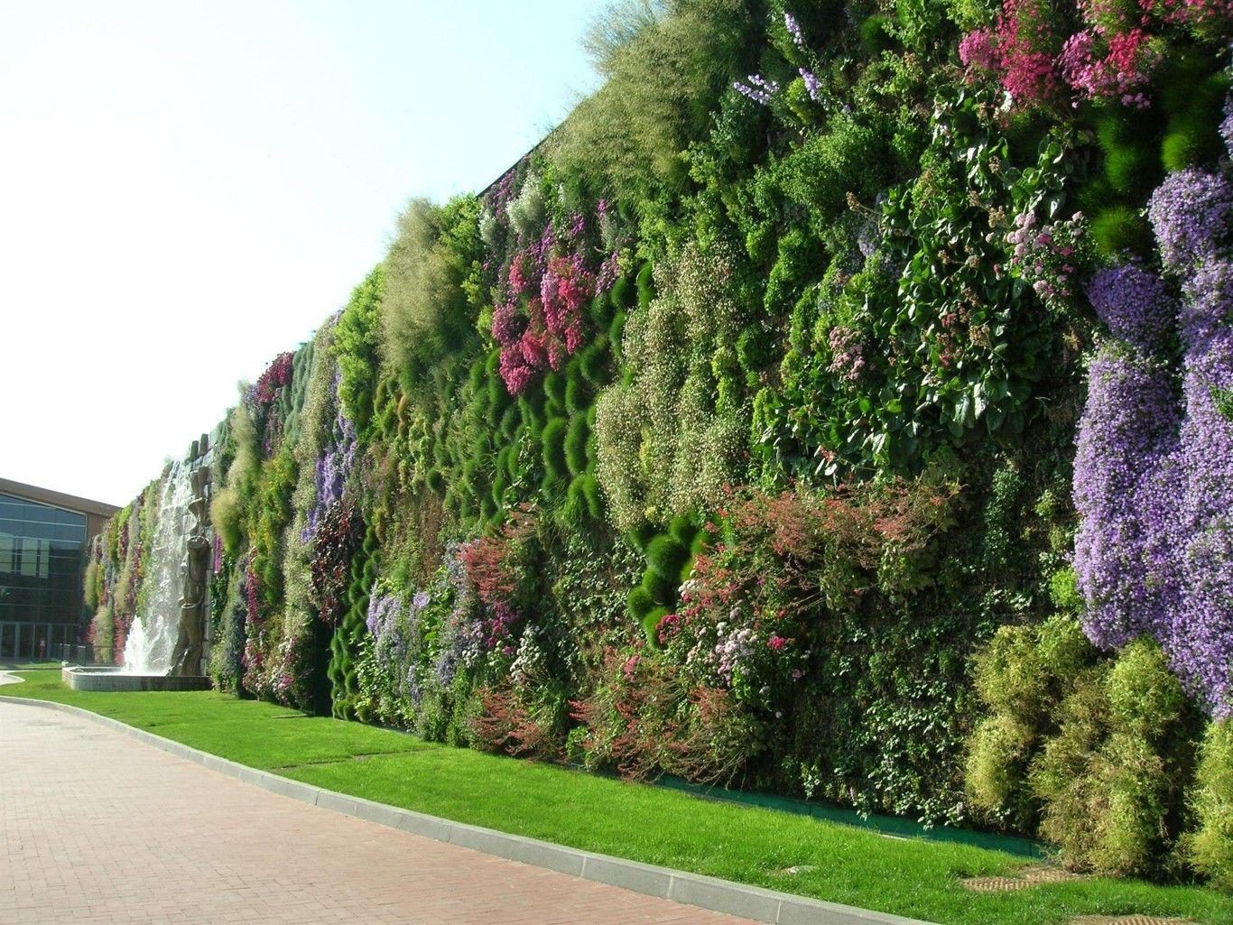 1366x1025 Shopping In Rozanno, Italy. World's Largest Vertical Garden. Vertical vegetable gardens, Large vertical garden, Verticle garden
