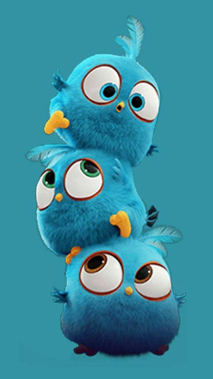 720x1280 Angry Bird Wallpaper HD