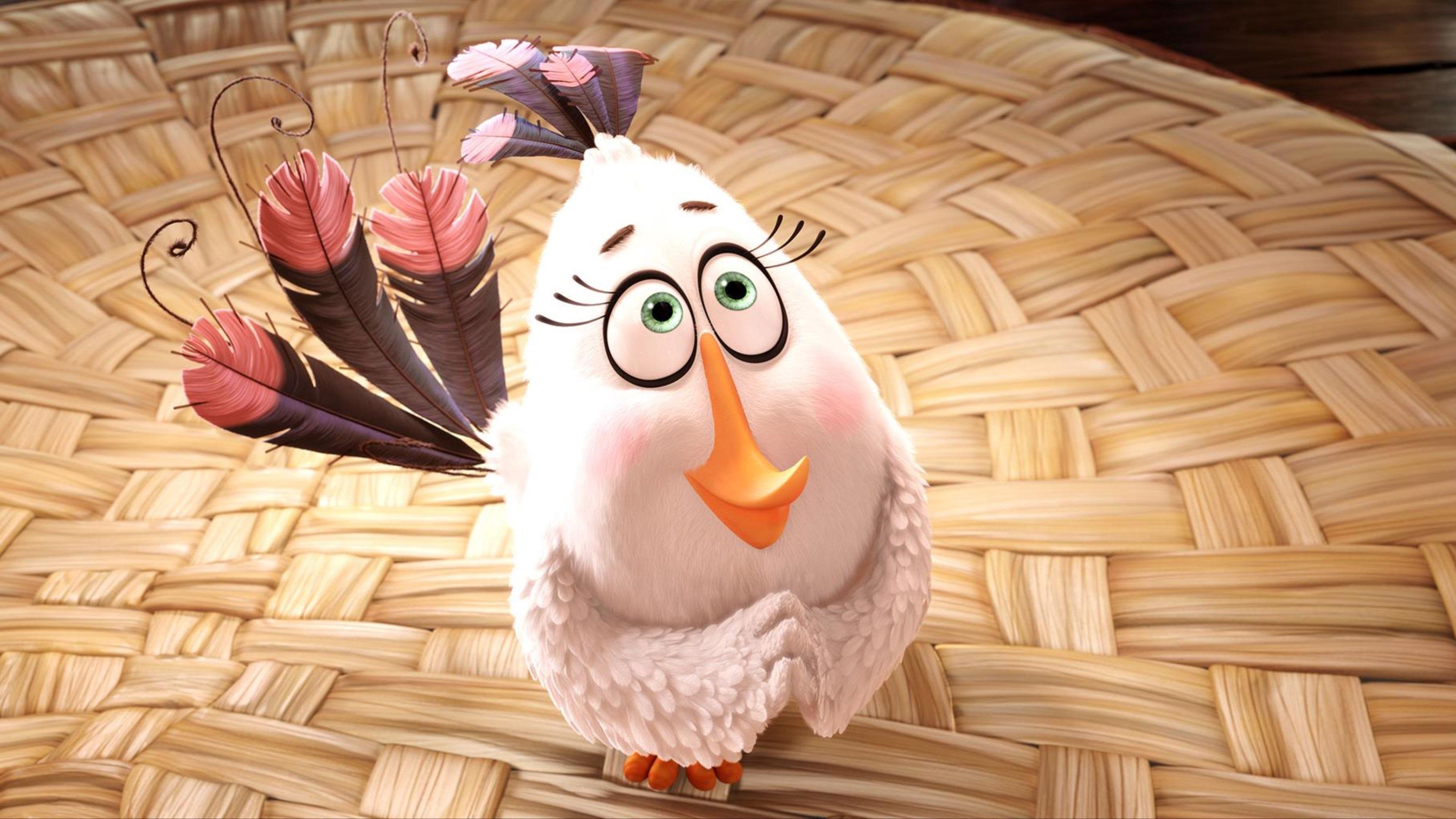 3840x2160 3840x2160 angry birds 4k download HD pc wallpaper