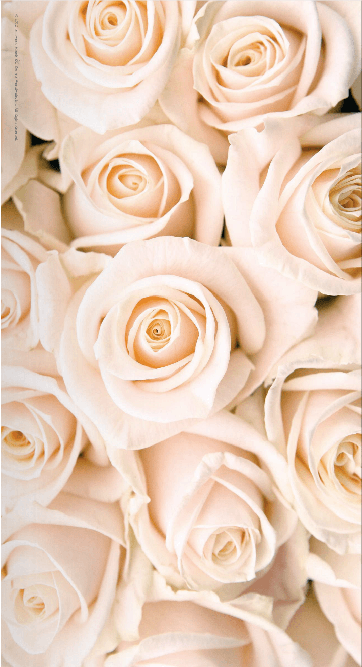 Rose Gold Flowers Wallpapers  Wallpaper Cave