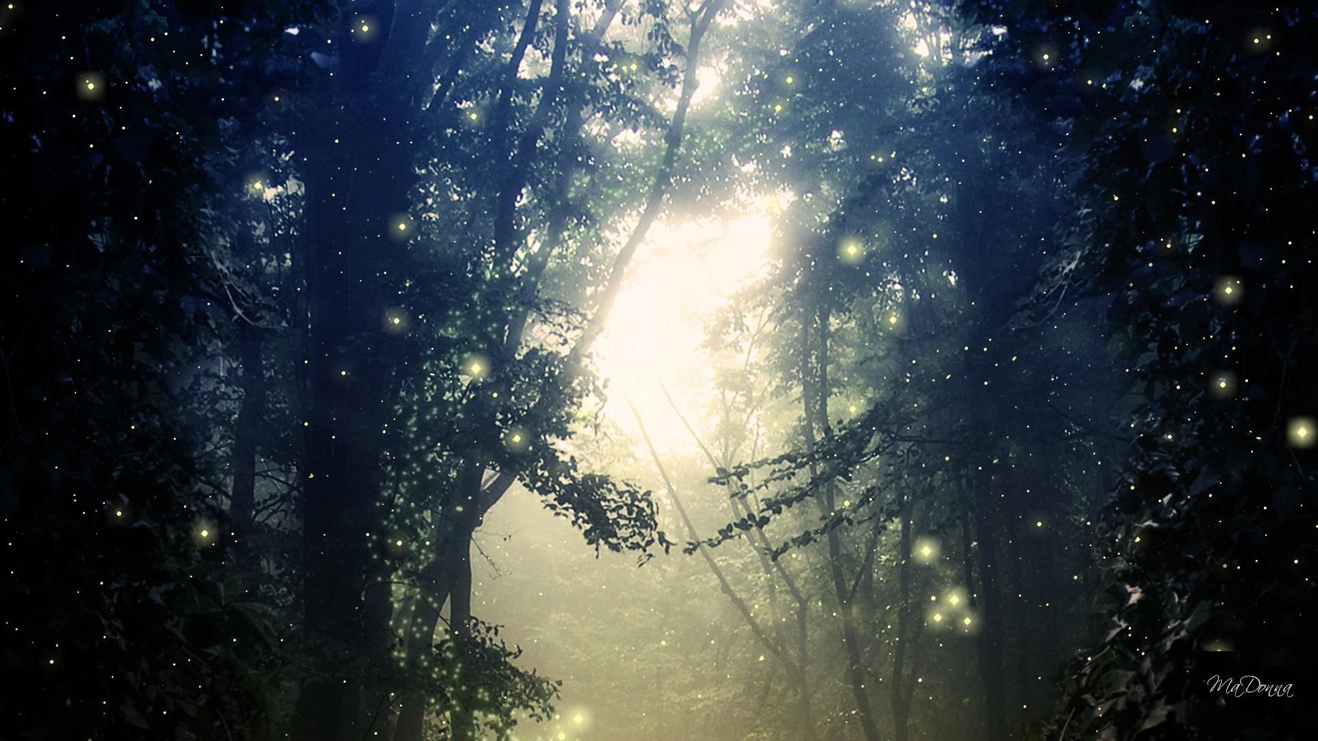 1921x1080 Free download Fireflies Wallpaper [1921x1080] for your Desktop, Mobile & Tablet. Explore Fireflies Wallpaper. Firefly Wallpaper 1080p, 3D Fireflies Live Wallpaper, Firefly Wallpaper for Computer