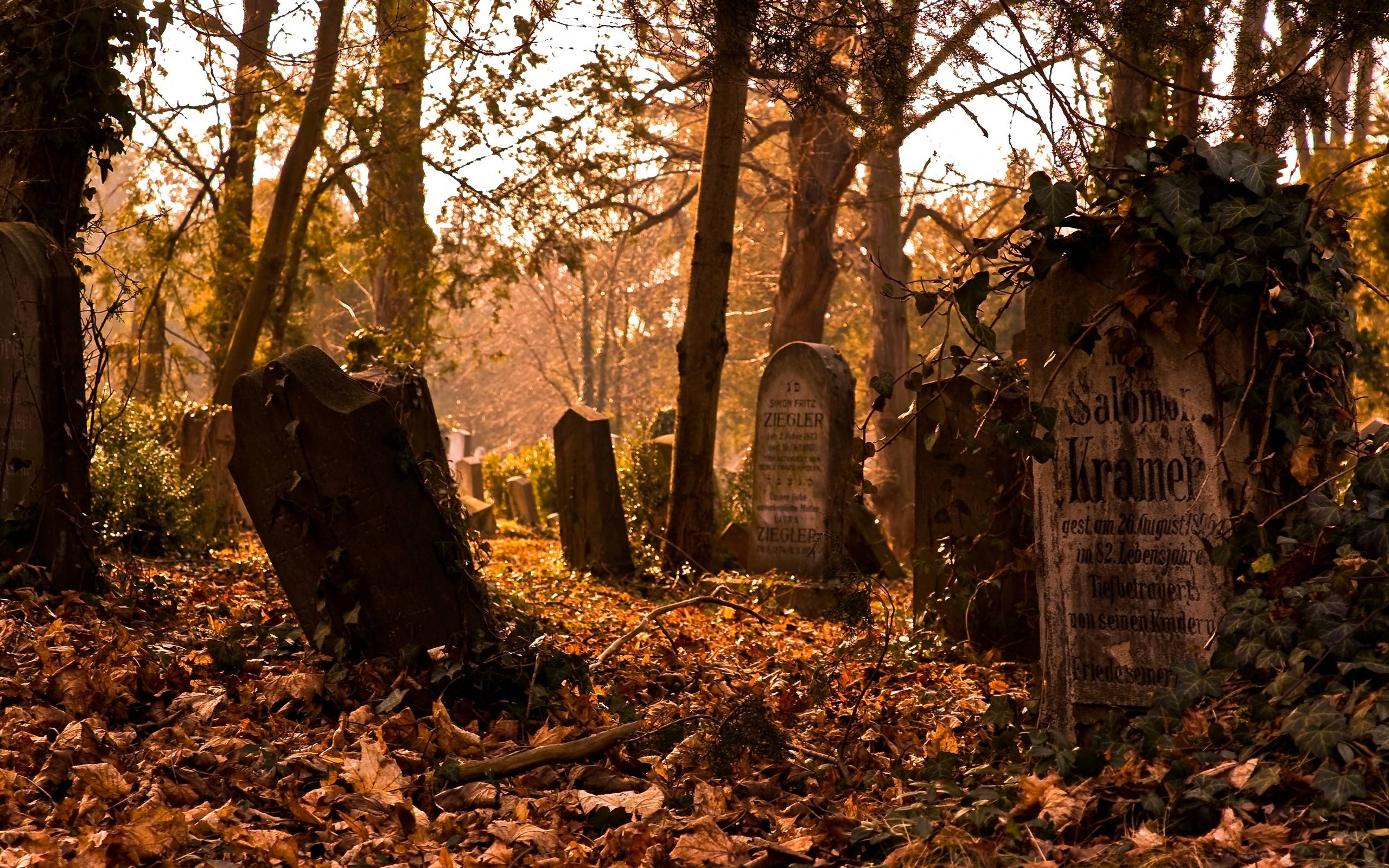 2560x1600 Graveyard Wallpaper