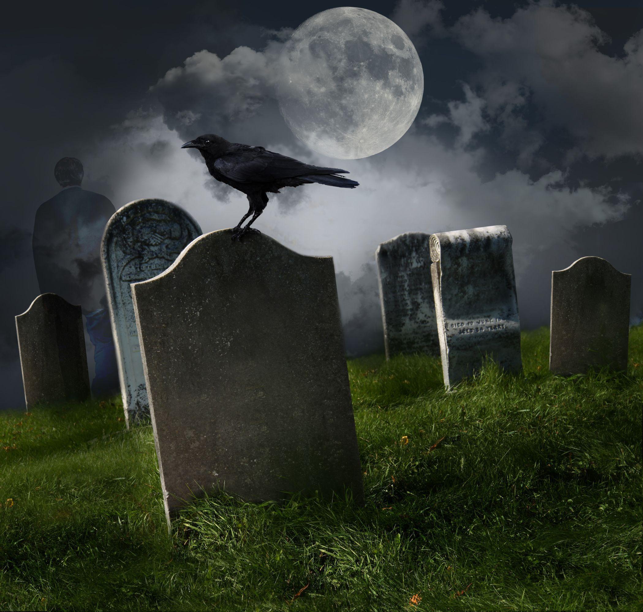 2099x1999 Yeele 7x5ft Halloween Graveyard Backdrop Cemetery Gate with Full Moon in Dark Night Photography Background Halloween Eve Party Kid Adult Acting Show Photohoot Studio Props Vinyl Studio Wallpaper Photo Background Video Studio