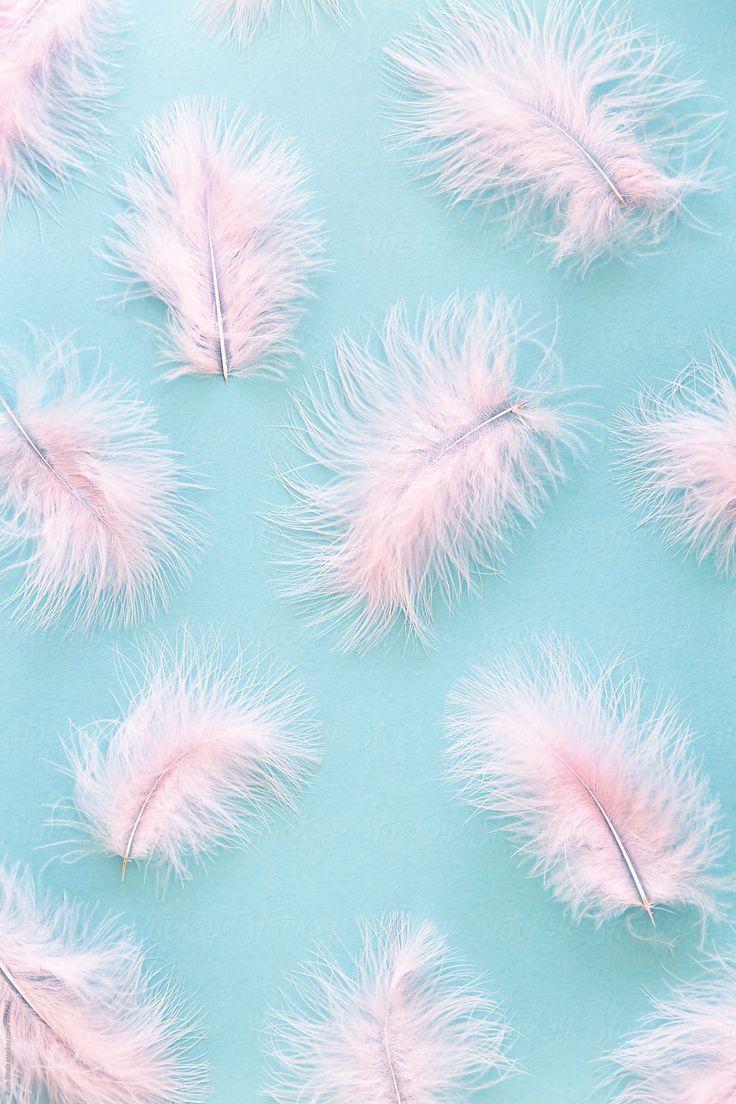736x1104 Pink Feather Background by Ruth Black, Pastel. Feather background, Pastel background, Pink feathers