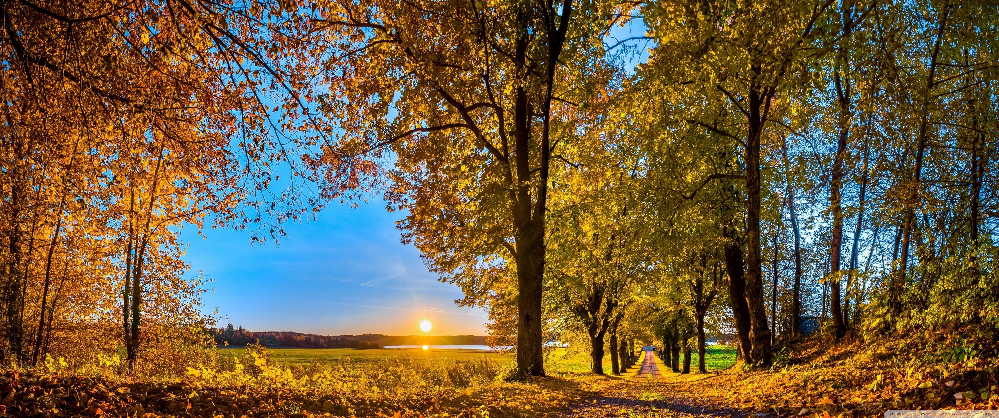 3440x1440 Pathway, Autumn Ultra HD Desktop Background Wallpaper for 4K UHD TV : Widescreen & UltraWide Desktop & Laptop : Multi Display, Dual & Triple Monitor : Tablet