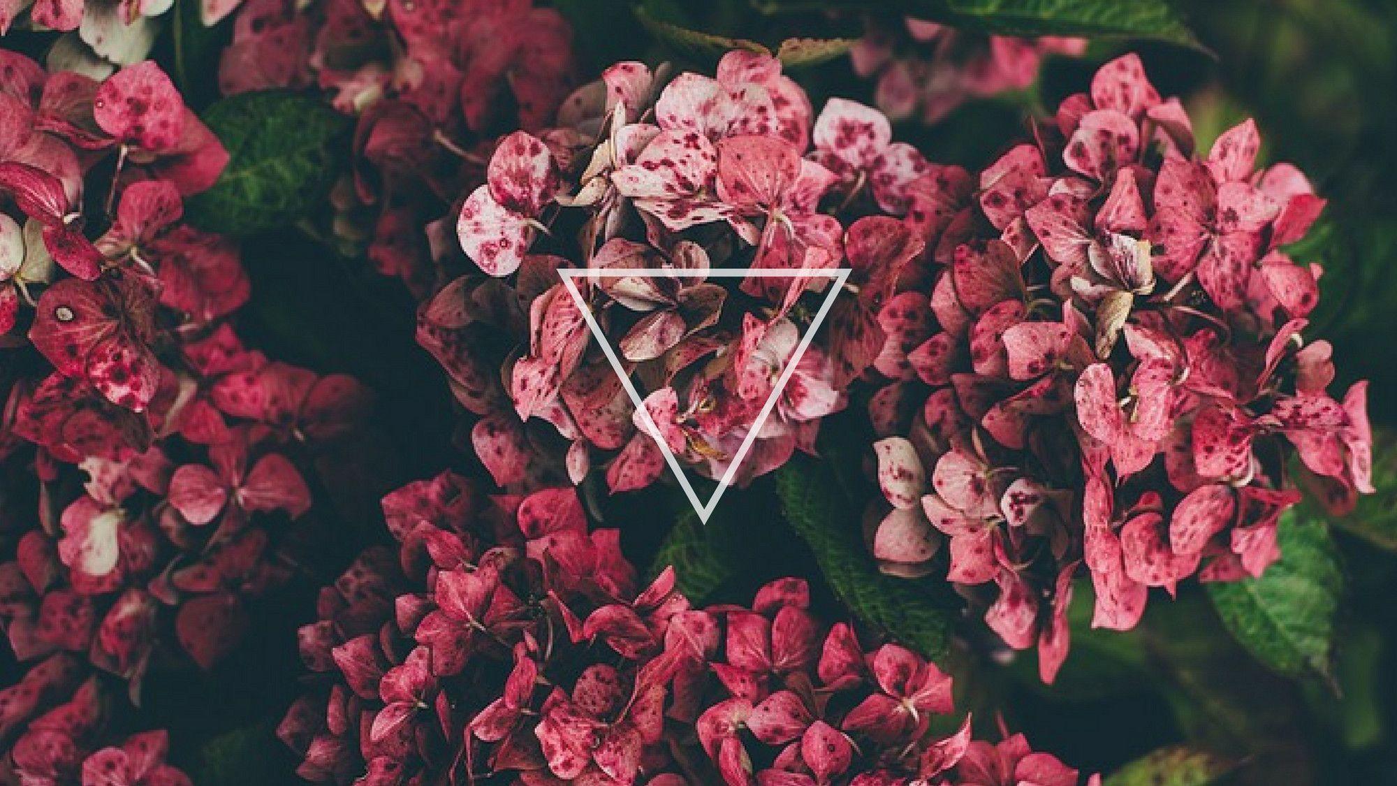 tumblr backgrounds flowers