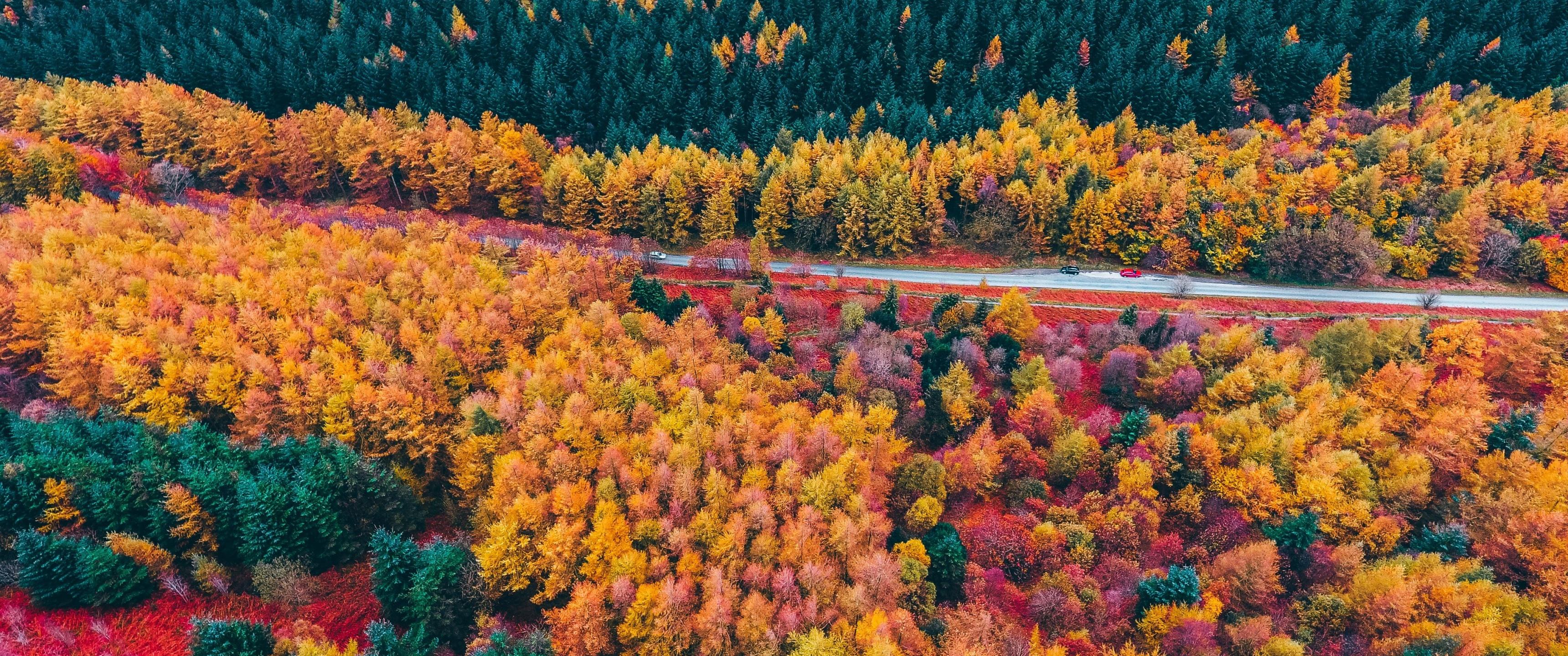 3440x1440 UltraWide Monitor QHD Wallpaperx1440 Wallpaper