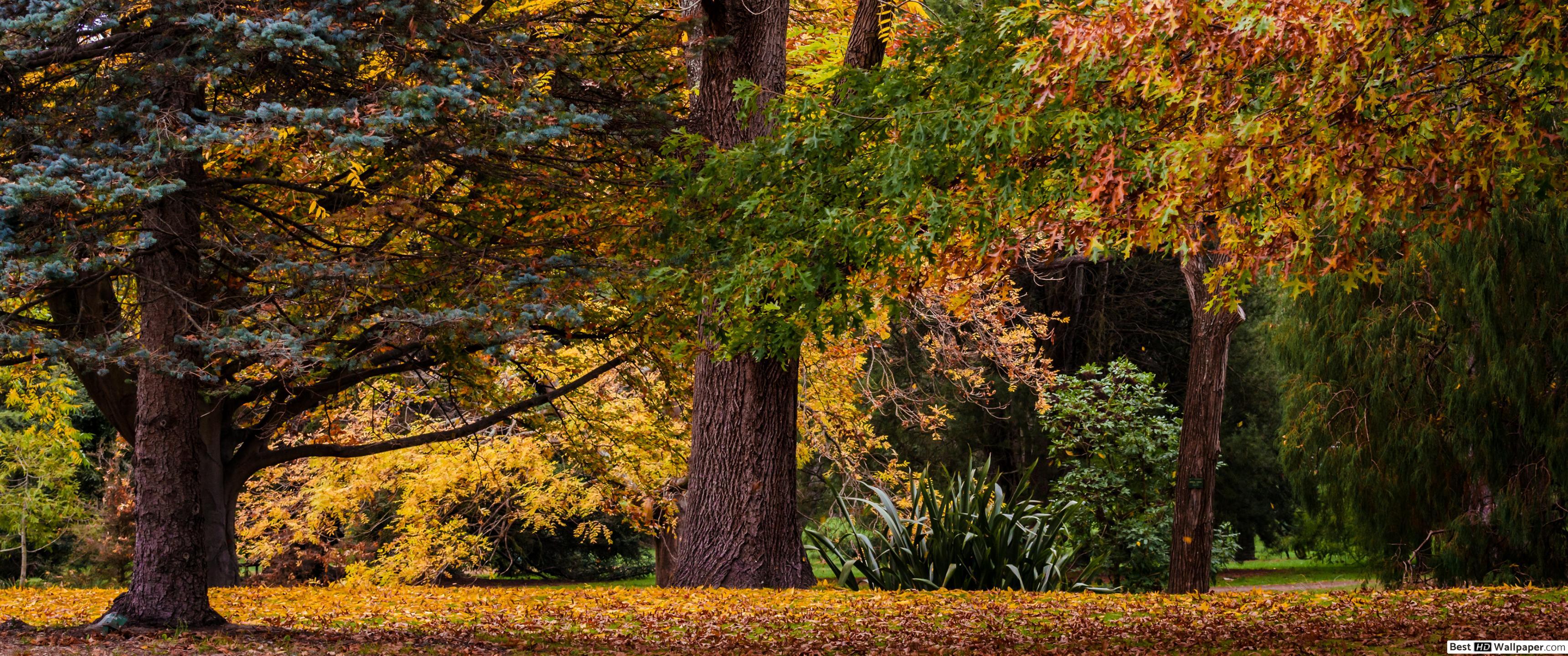 3440x1440 Autumn Feeling HD wallpaper download