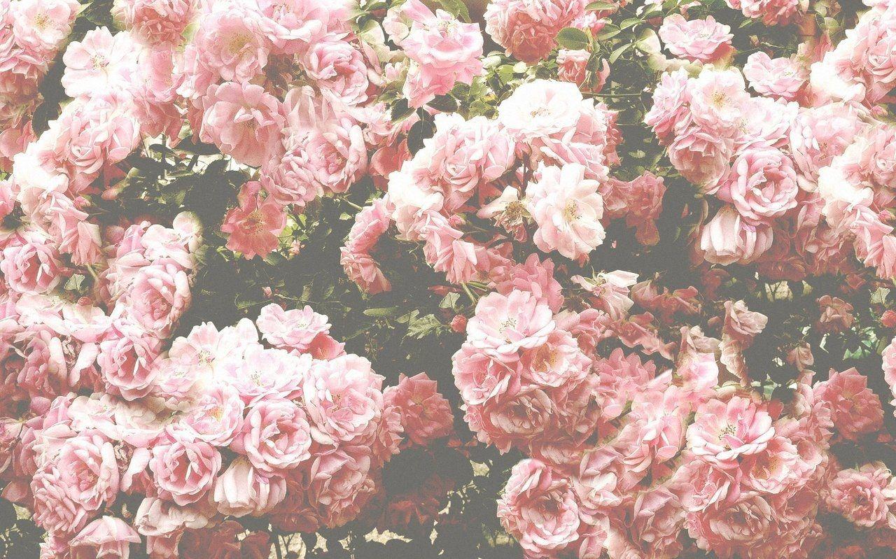 tumblr background vintage flowers