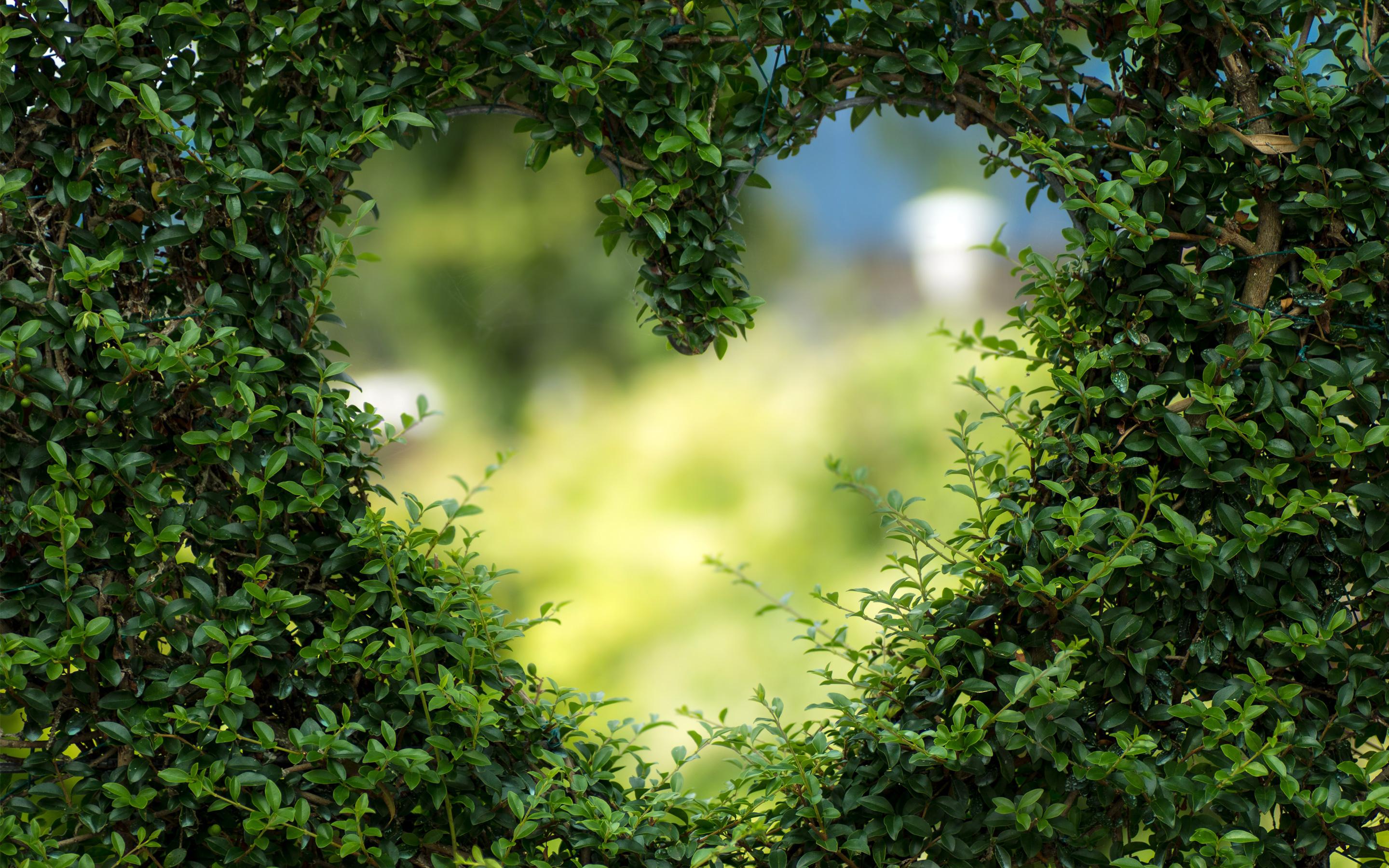 2880x1800 Wallpaper 4k Heart Green Leaves Wallpaper