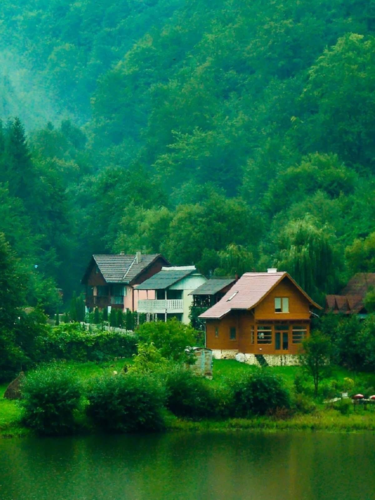 1200x1600 House In Deep Green Forest 4K Ultra HD Mobile Wallpaper