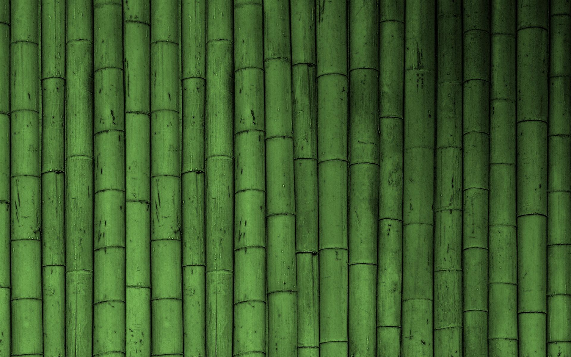 1920x1200 Free download Bamboo Wallpaper Green Wallpaper 19784745 [1920x1200] for your Desktop, Mobile & Tablet. Explore Wallpaper and Flooring. Dollhouse Wallpaper and Flooring, Using Wallpaper for Flooring, Printable Dollhouse Wallpaper and Flooring