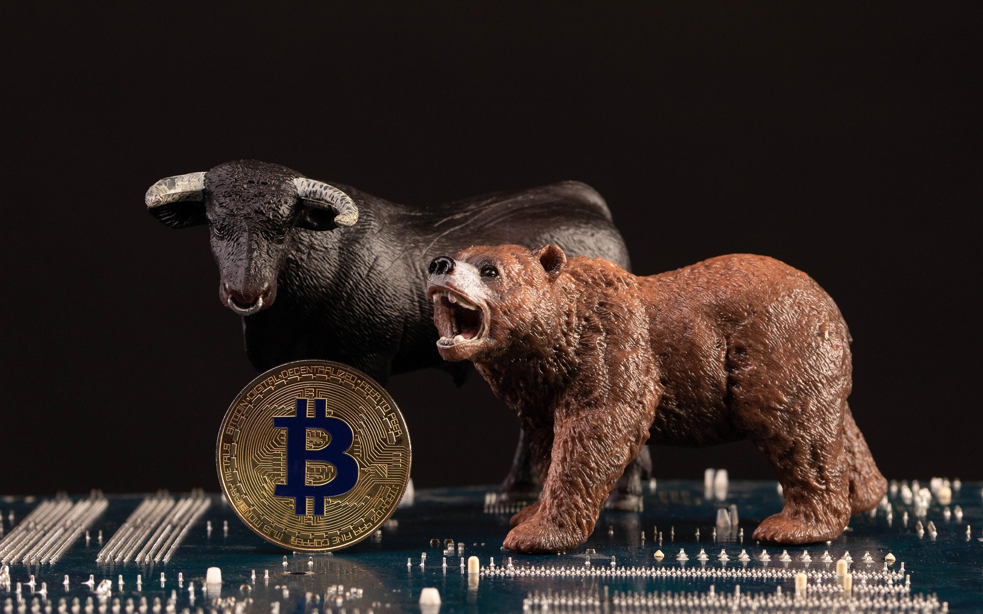 3840x2400 Photos Coins Bulls Bitcoin bear Black