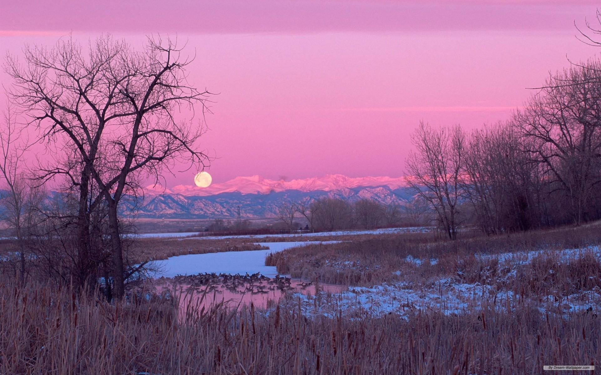 1920x1200 Free Nature Wallpaper Pink Nature Background