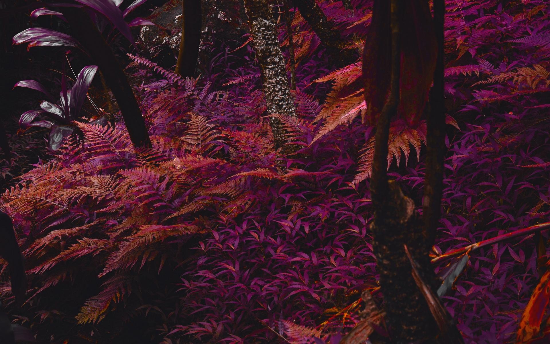 1920x1200 Aesthetic Witchy Computer Wallpaper