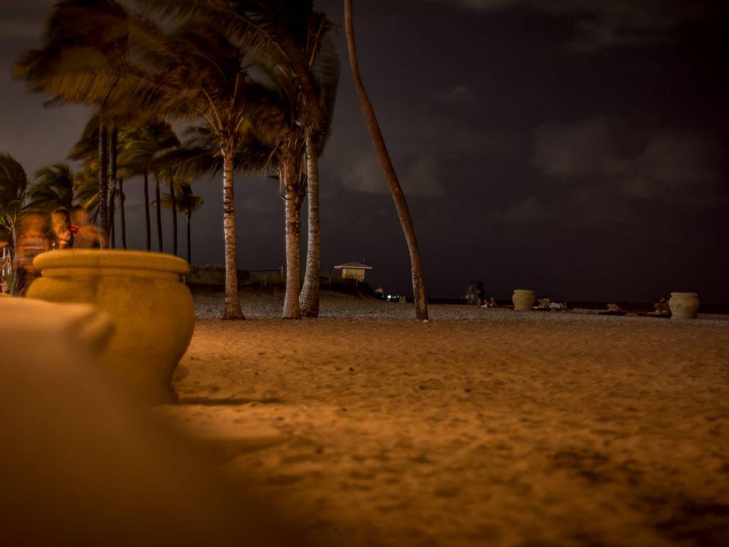 1024x768 Hollywood Beach South Florida Halloween wallpaper in 1024x768 resolution